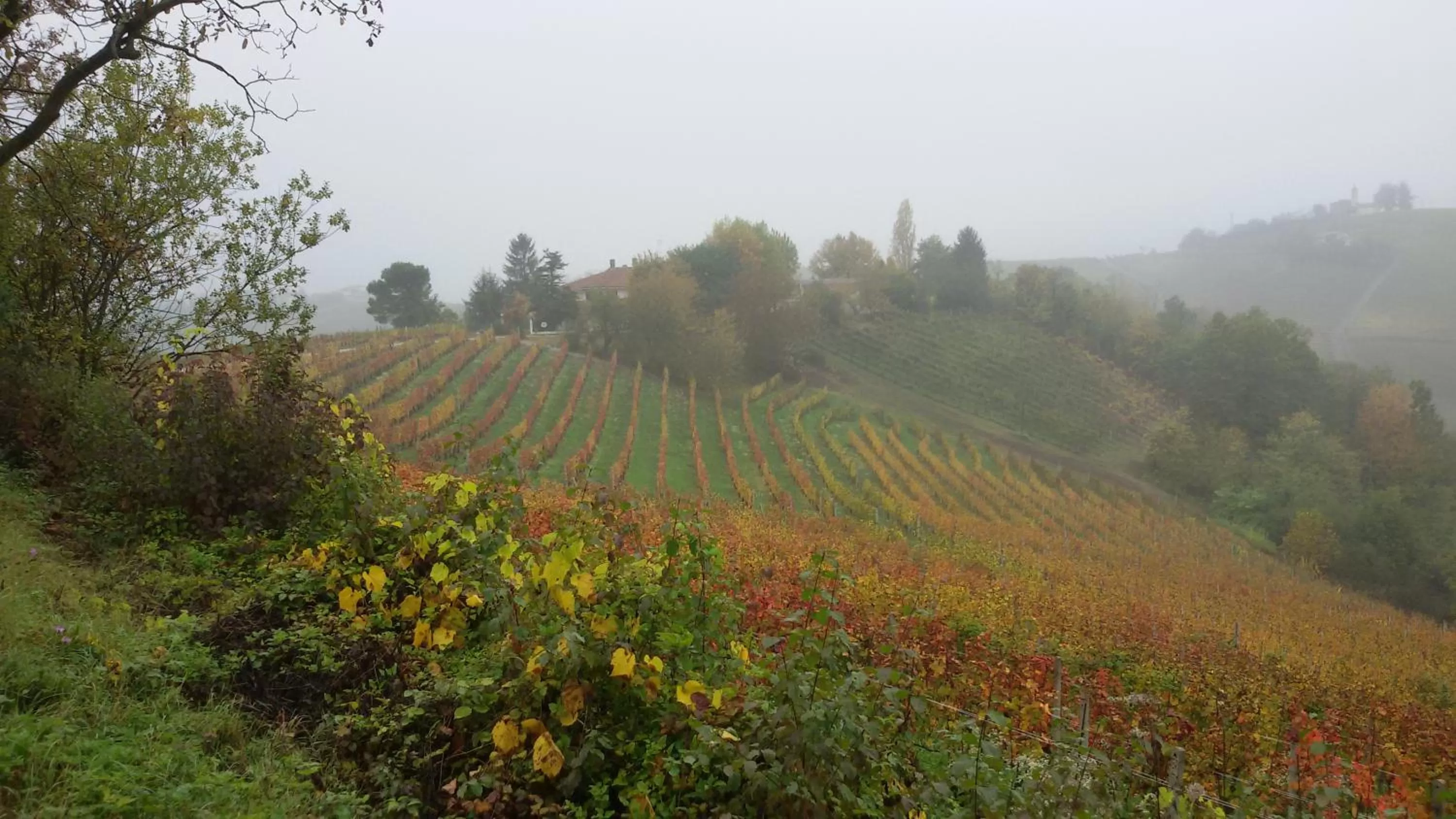 On site, Natural Landscape in Cascina Torello