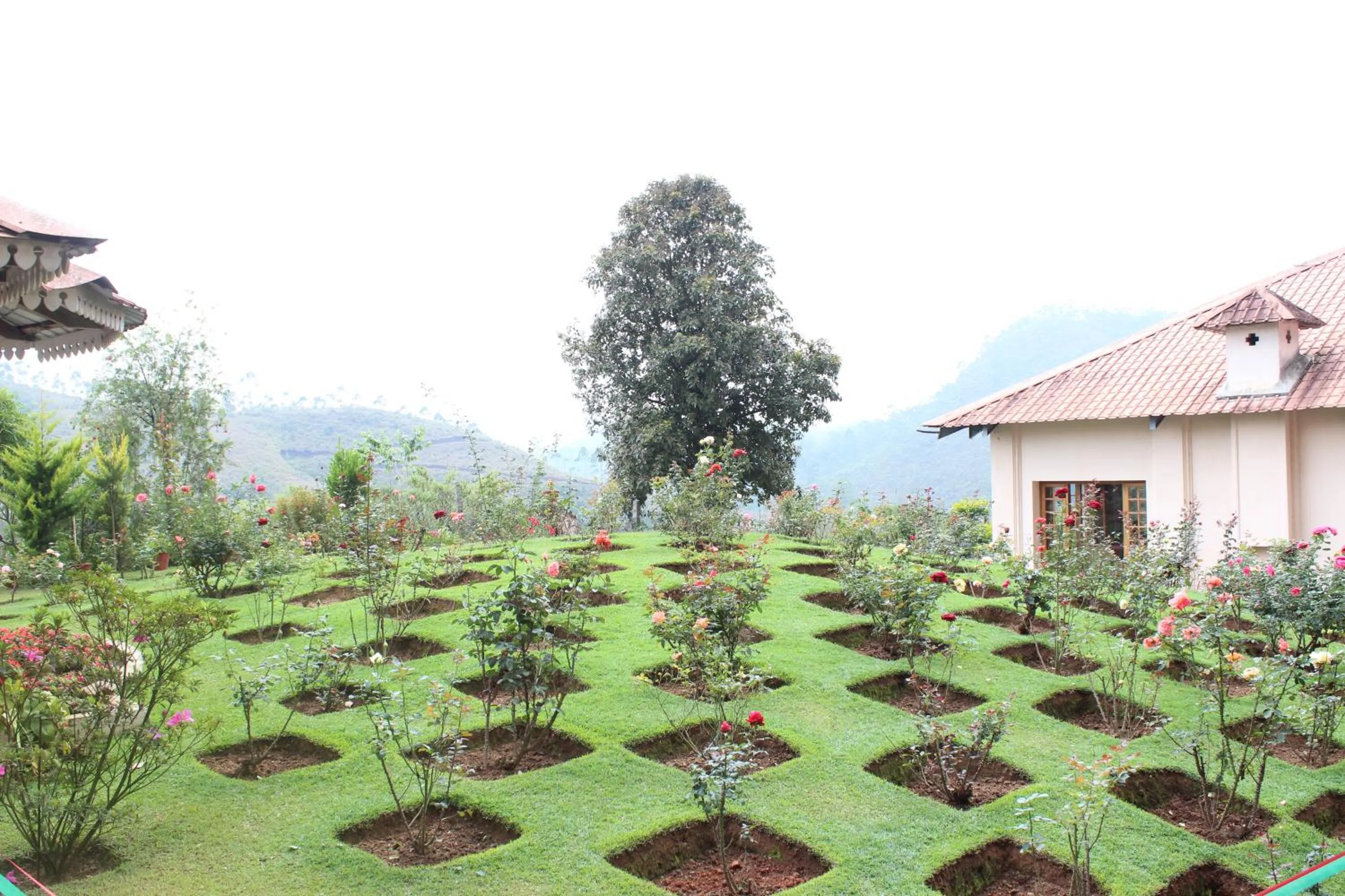 View (from property/room) in KTDC Tea county