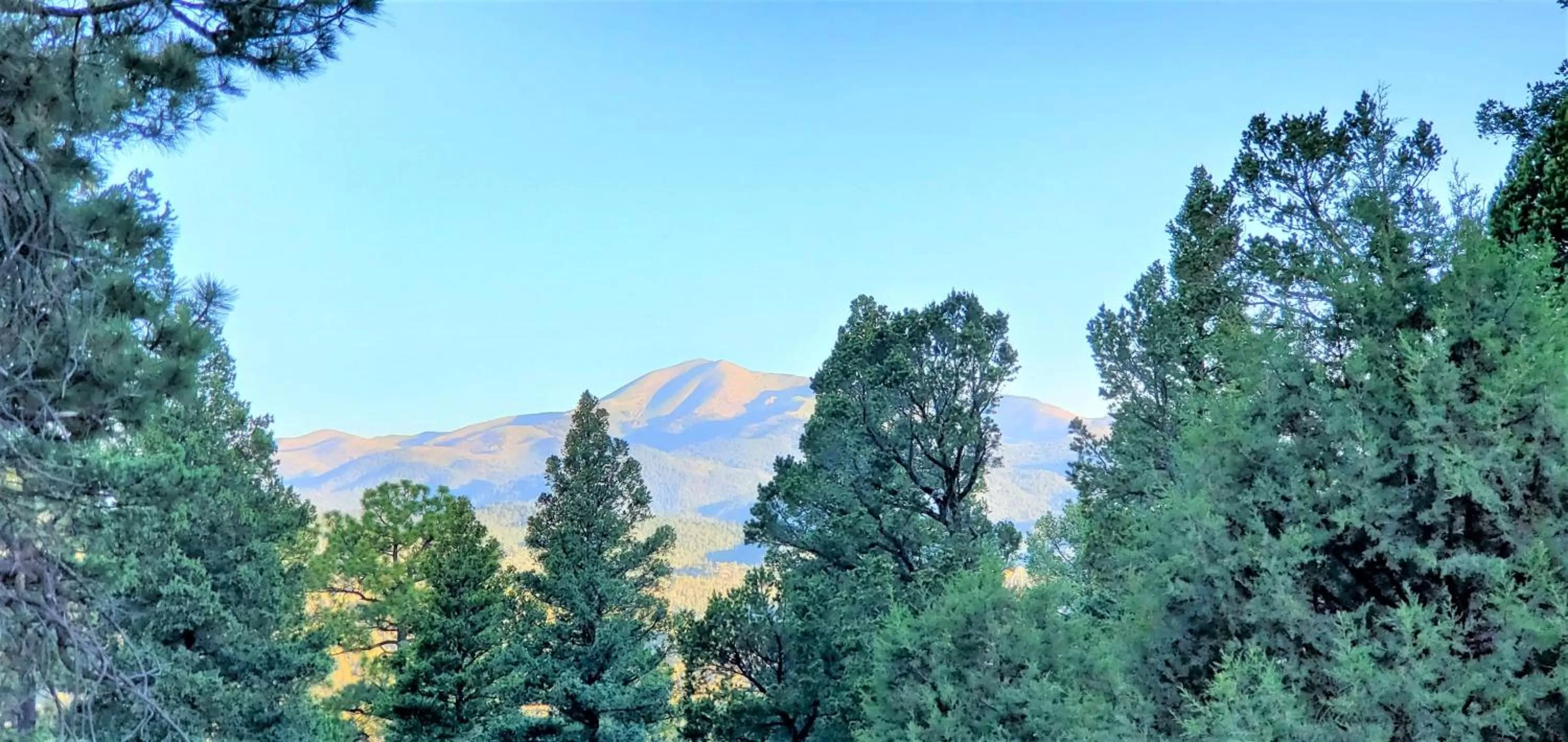 View (from property/room) in High Sierra Condominiums