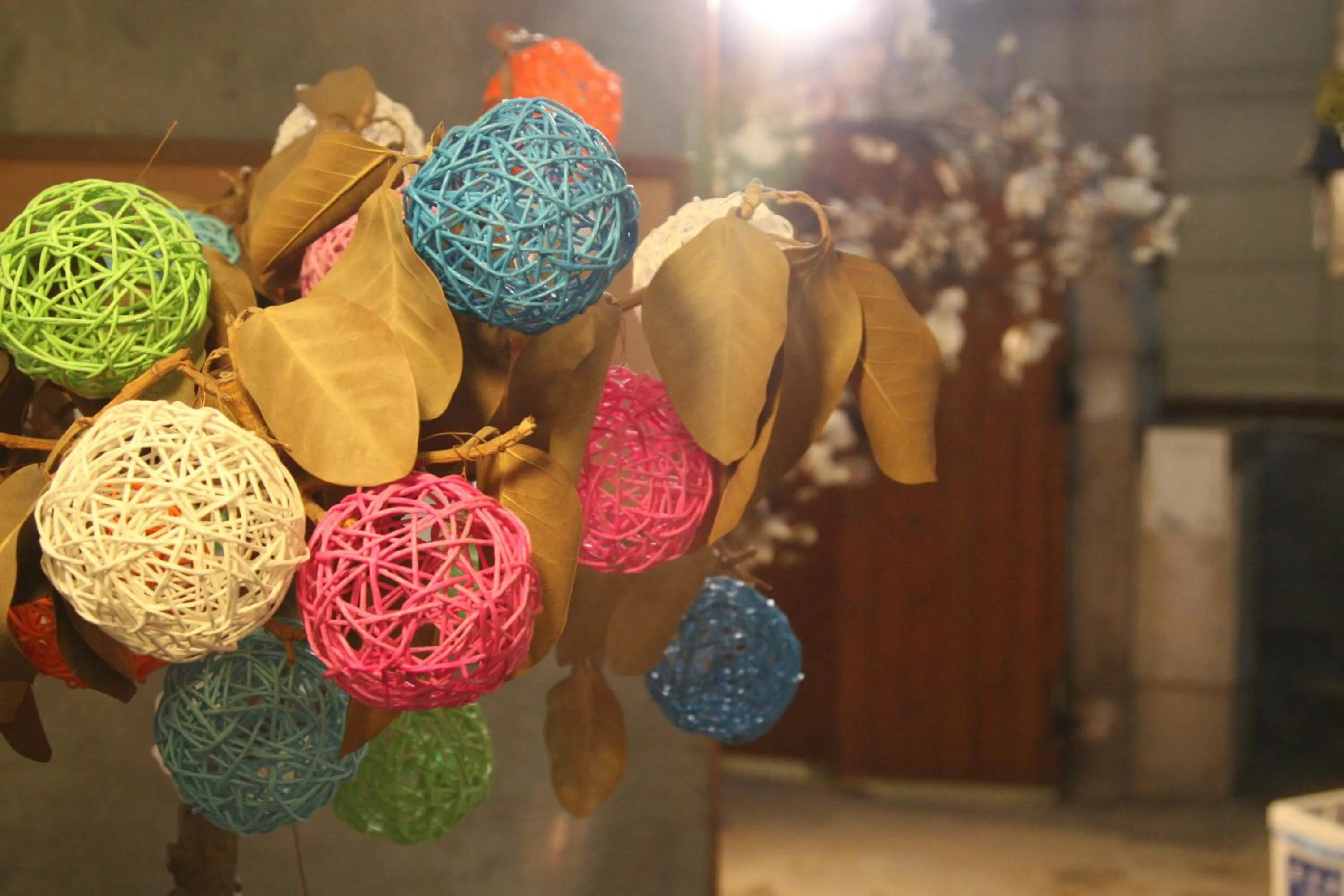 Other in Crib 49 Guesthouse - Foreigner only