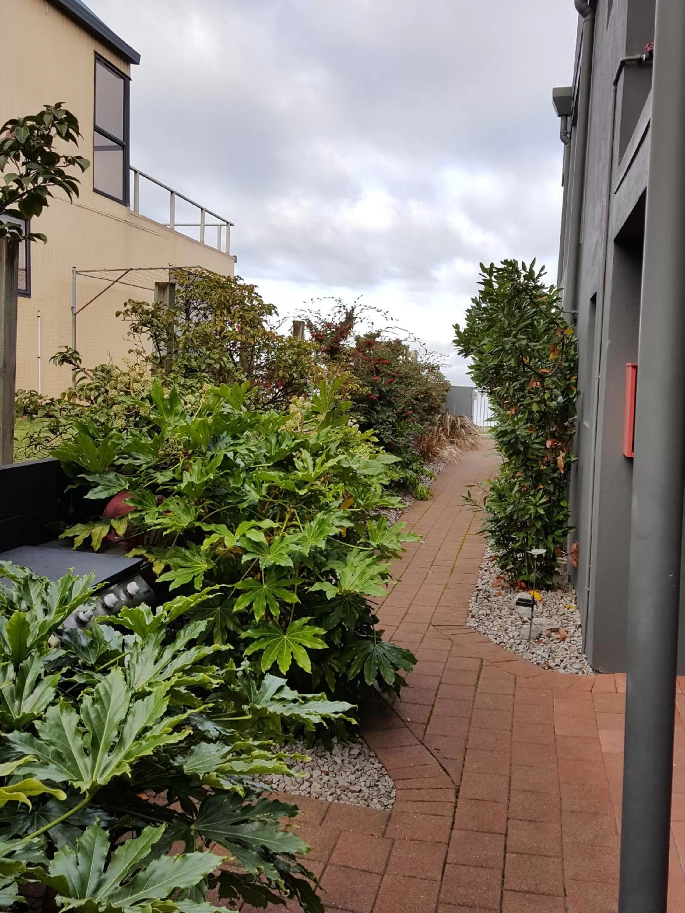 Area and facilities in Clearwater Motor Lodge