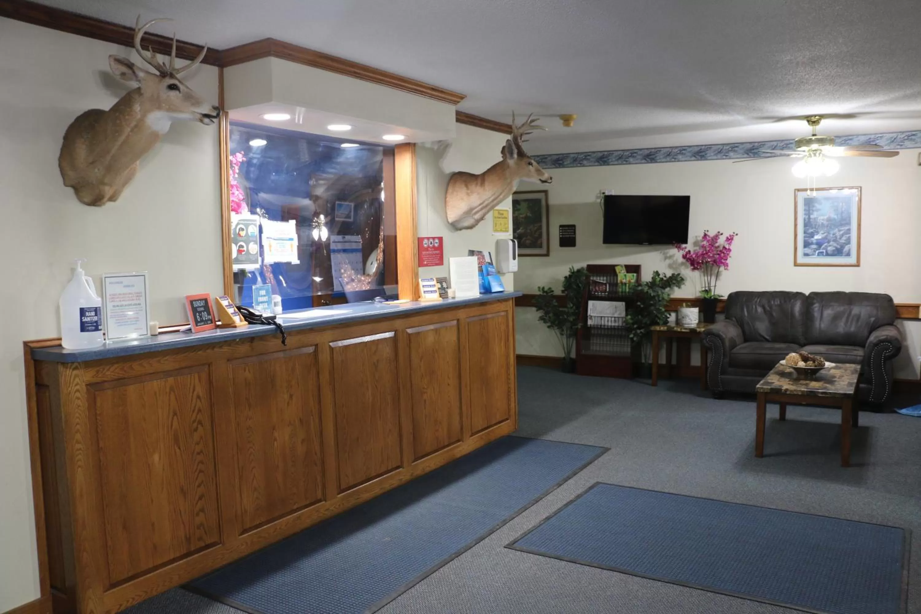 Property building in Amber Inn