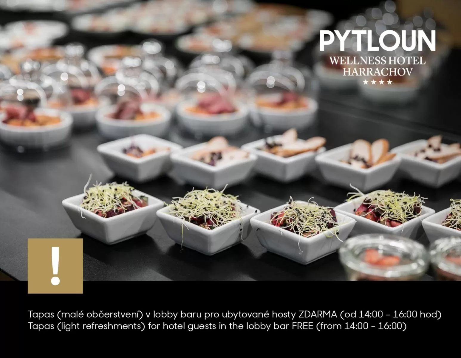 Food in Pytloun Wellness Hotel Harrachov