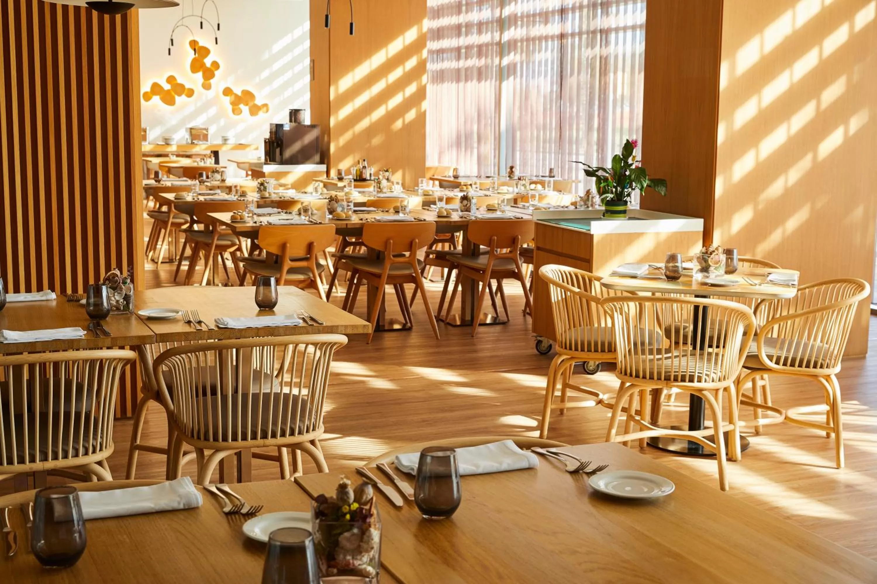 Restaurant/places to eat in Occidental Atenea Mar - Adults Only