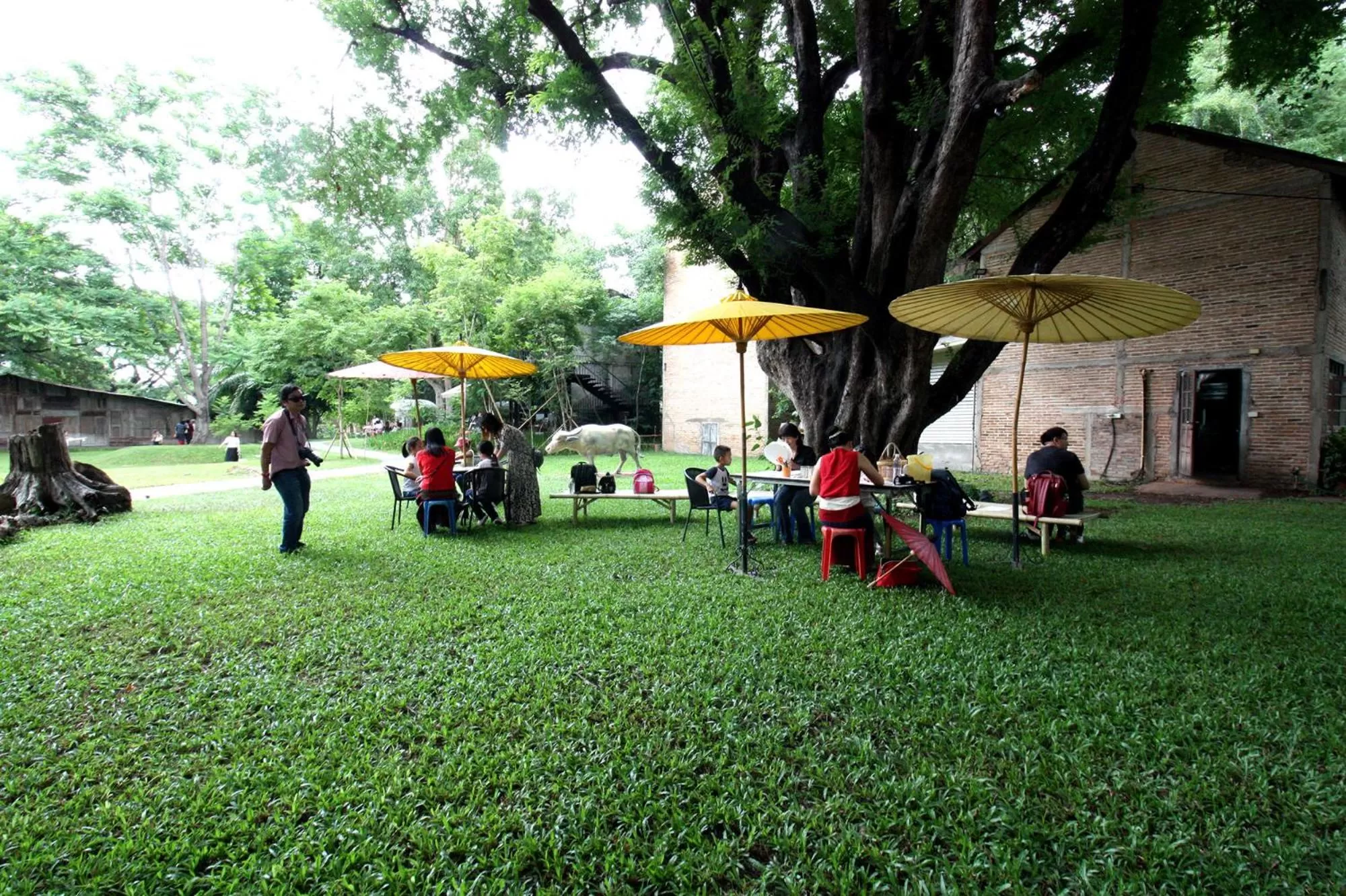 Activities in Kaomai Lanna Resort