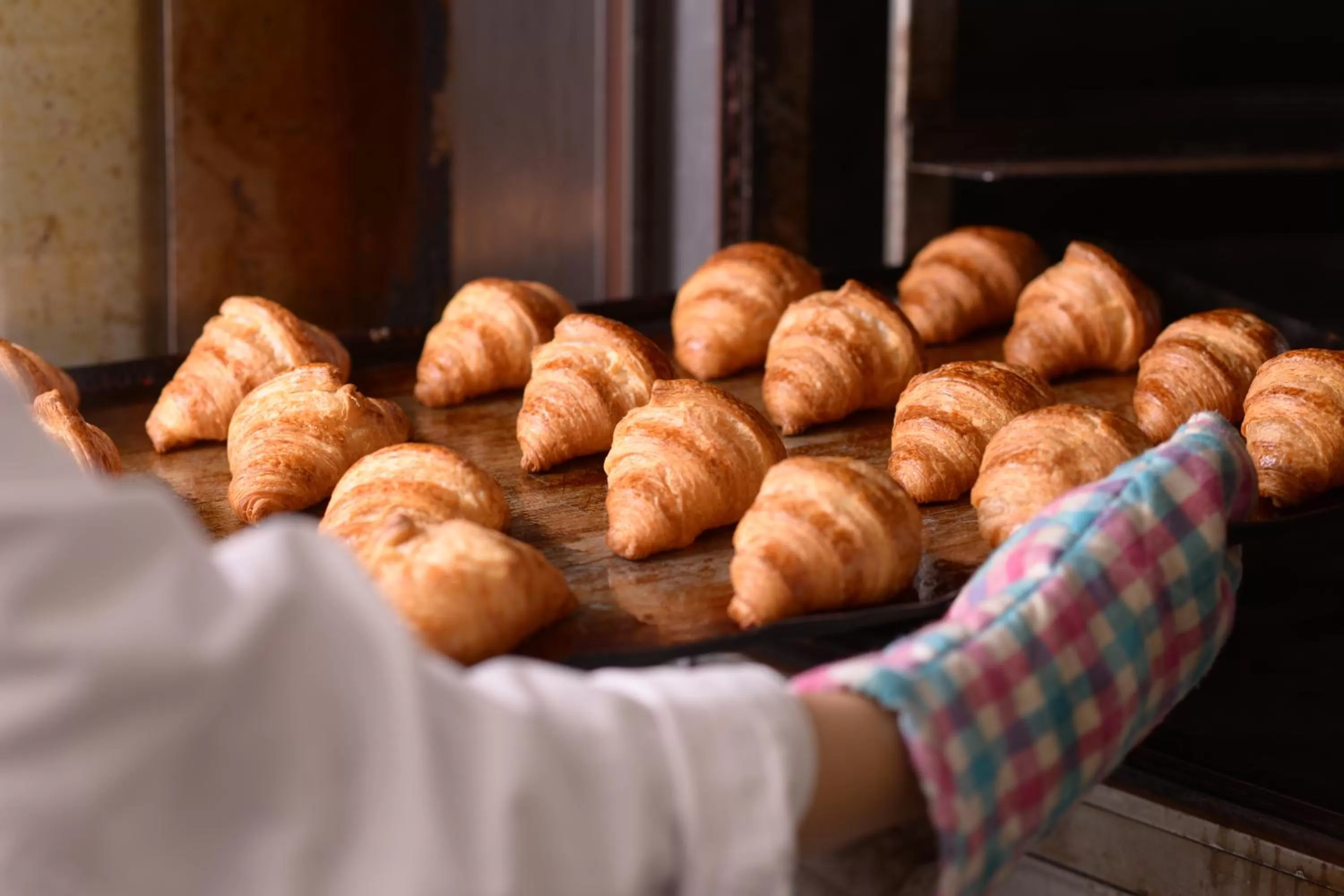 Food close-up in Premier Hotel Mojiko