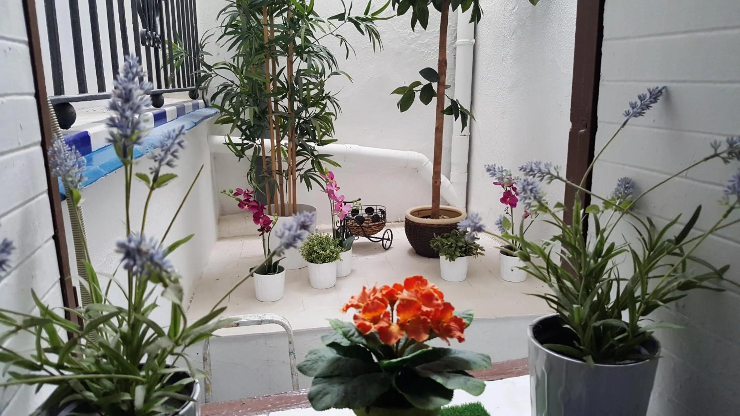 Lobby or reception in Giraldilla