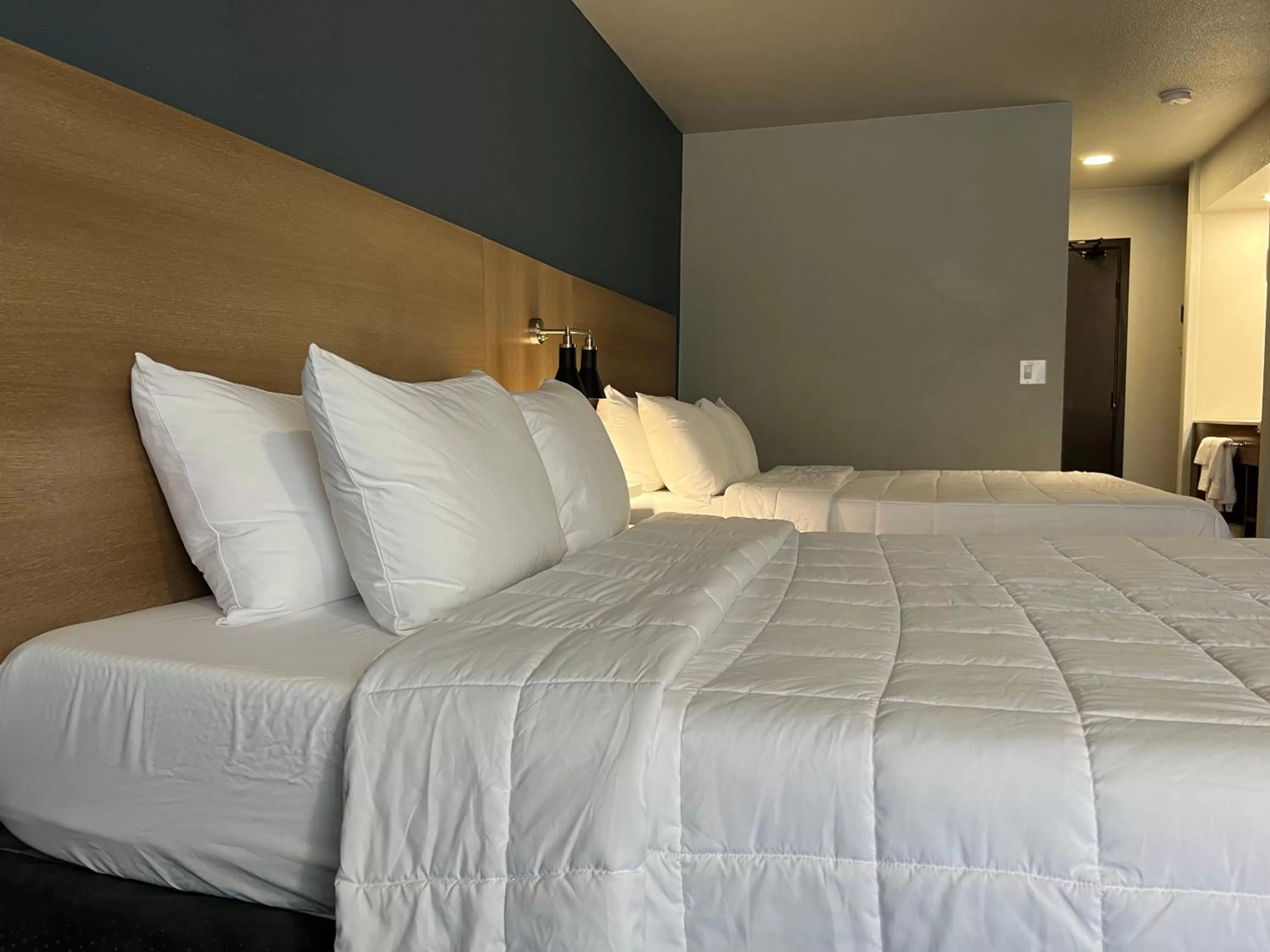 Bedroom, Bed in Quality Inn Portland Airport PDX