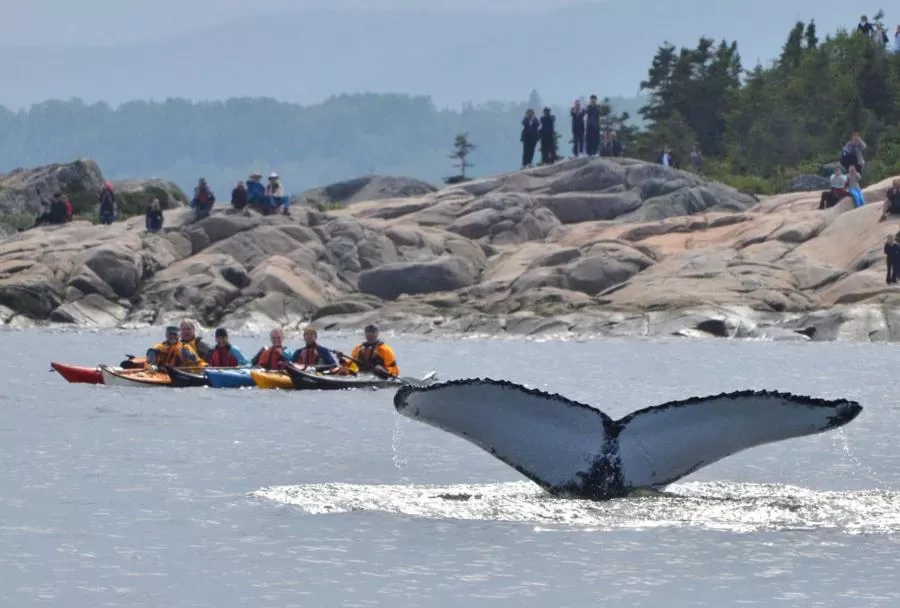 group of guests in Complexe Hotelier Escoumins