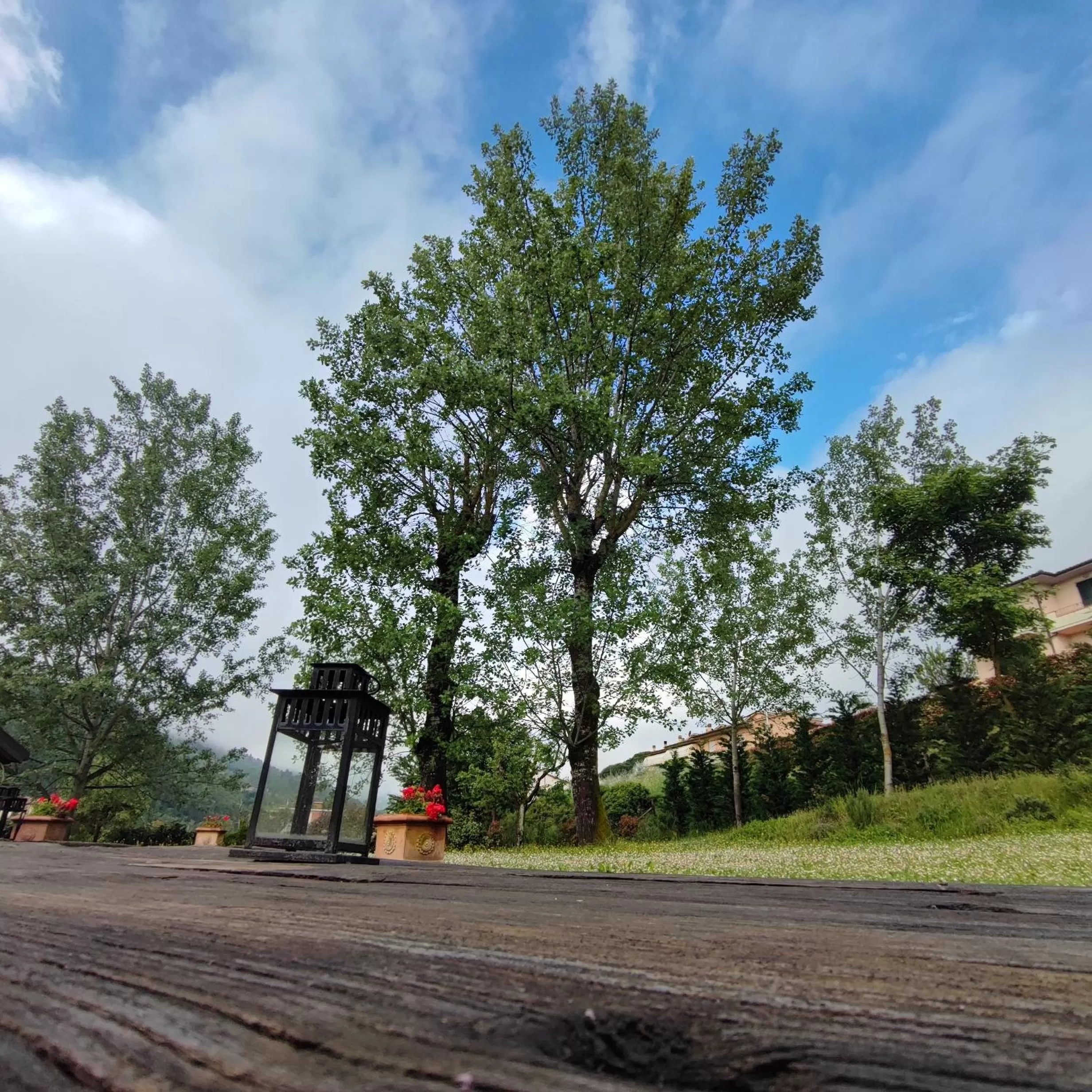 Property Building in Villa Giulia Fashion B&B