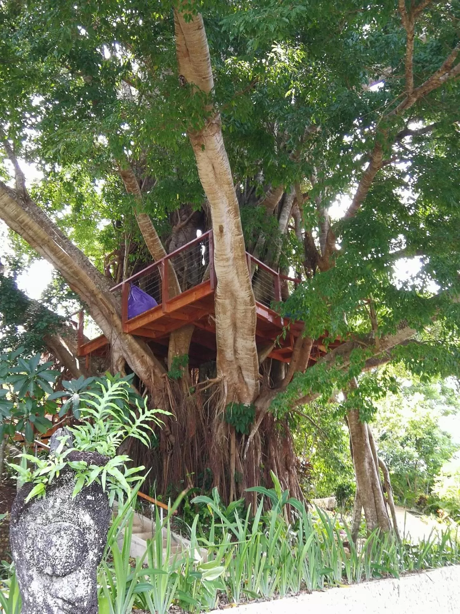 Garden in Poppy's on the Lagoon