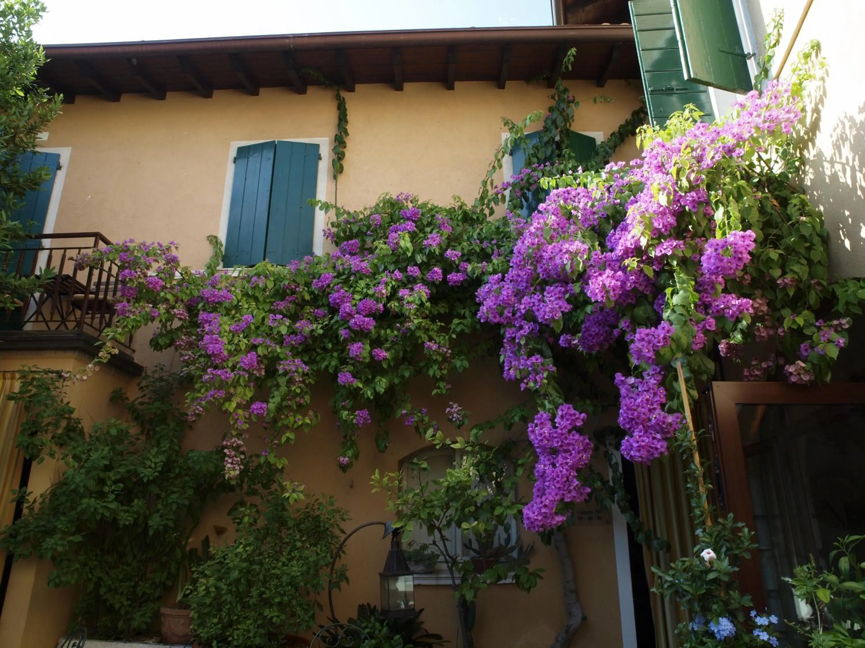 Property building in Hotel San Filis