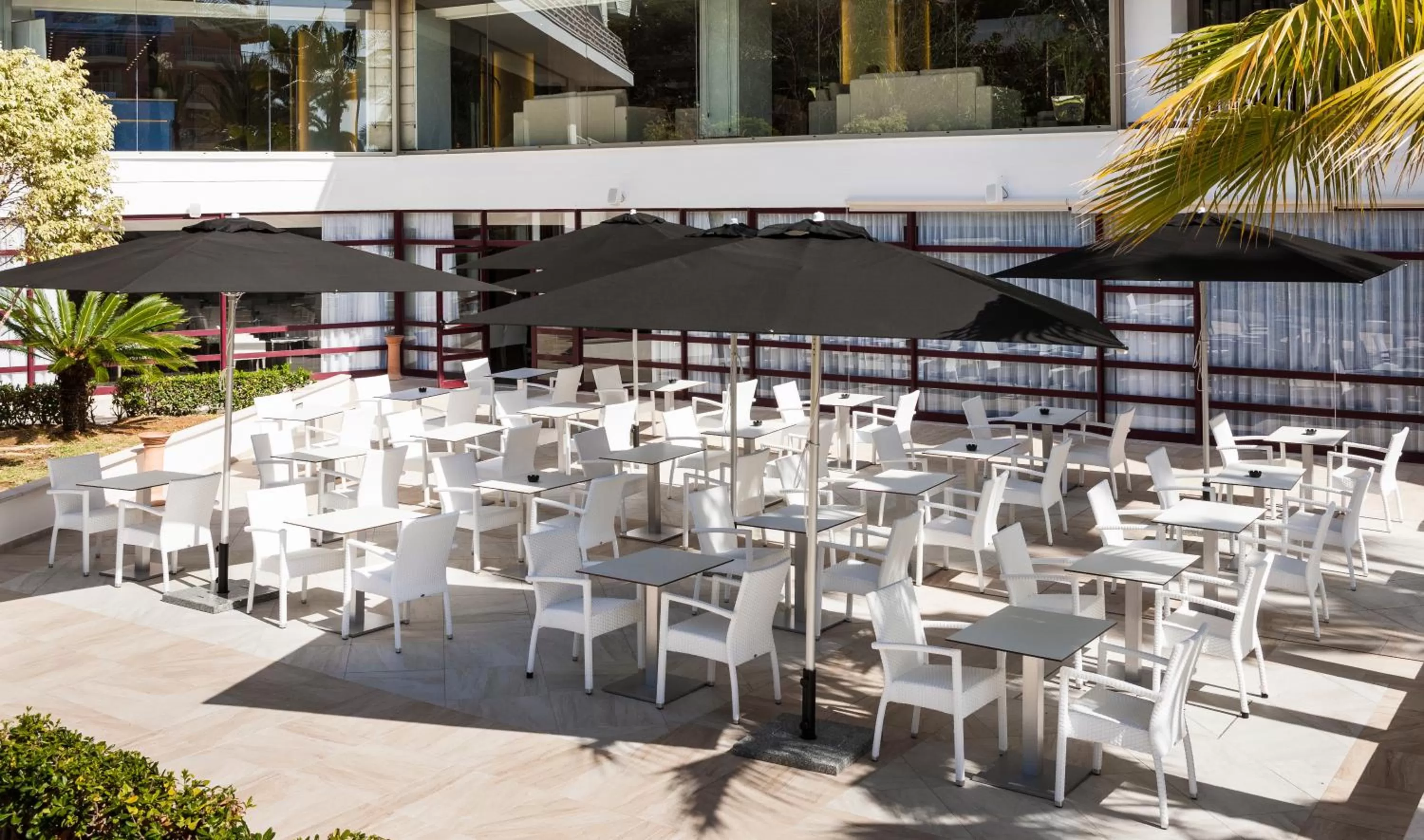 Restaurant/places to eat in Globales Palmanova