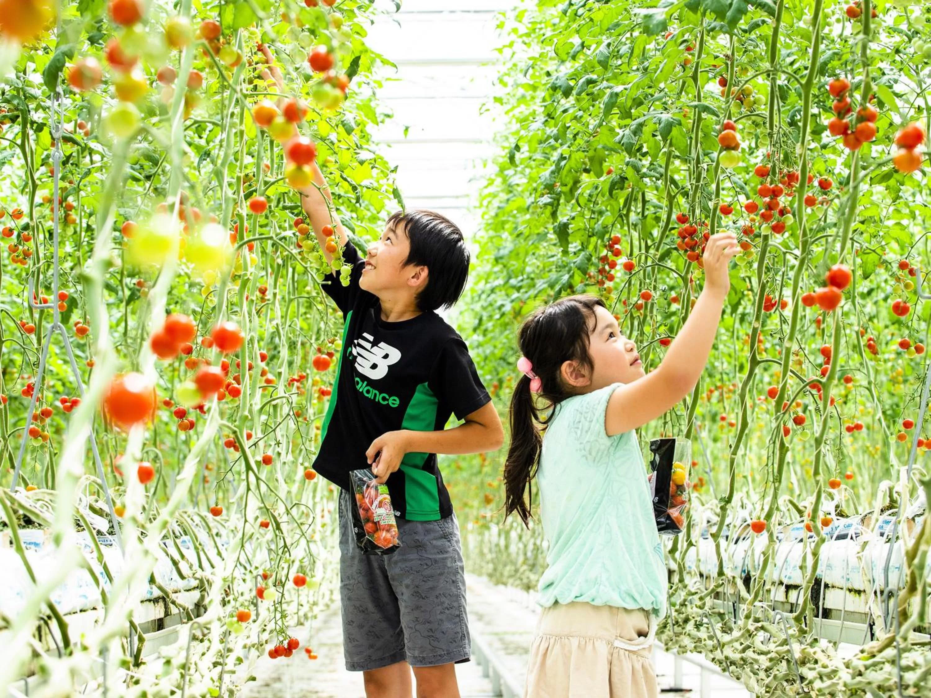 Off site in Iwaki Washington Hotel