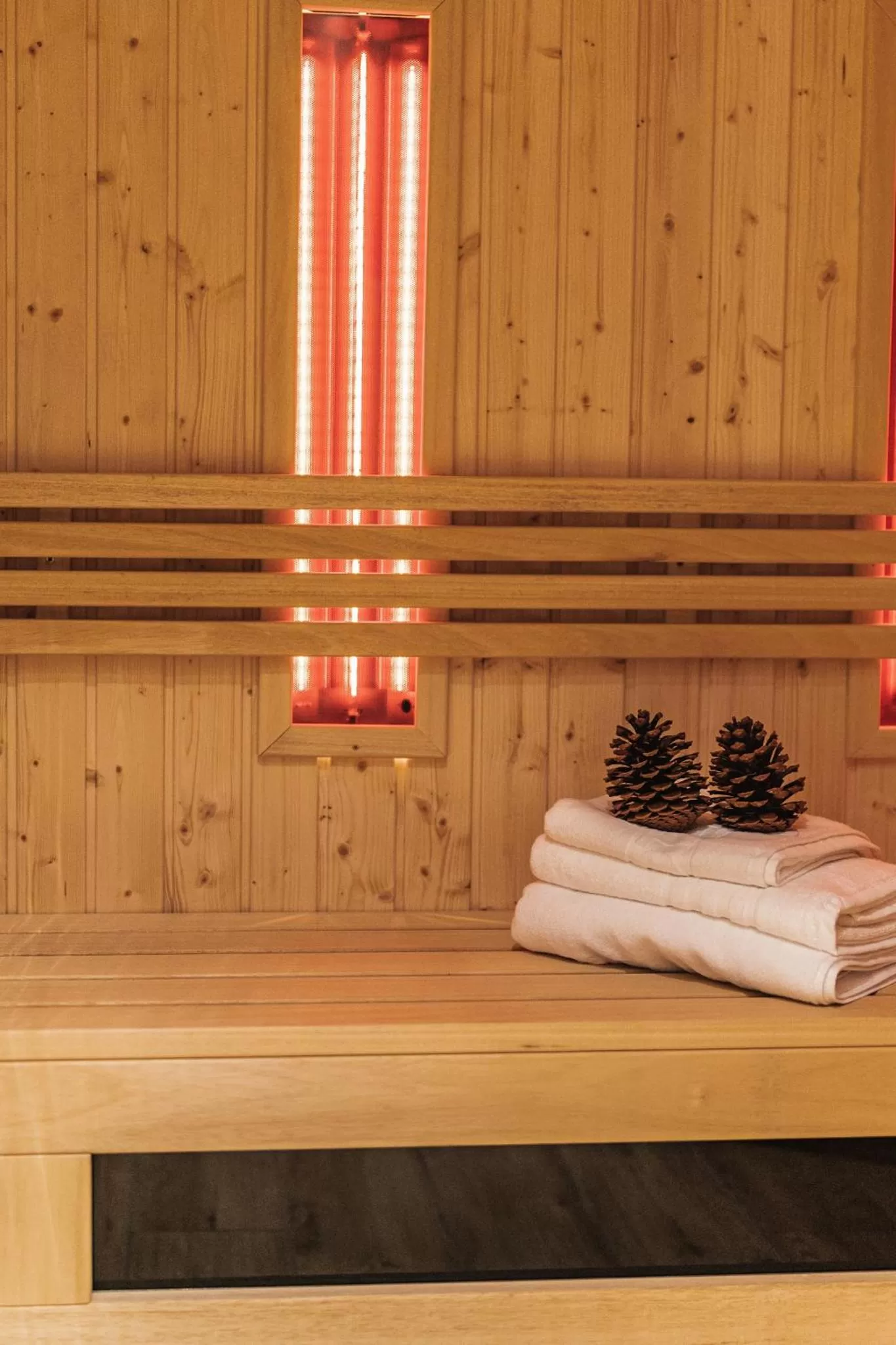 Sauna in Apartamenty Jedlina