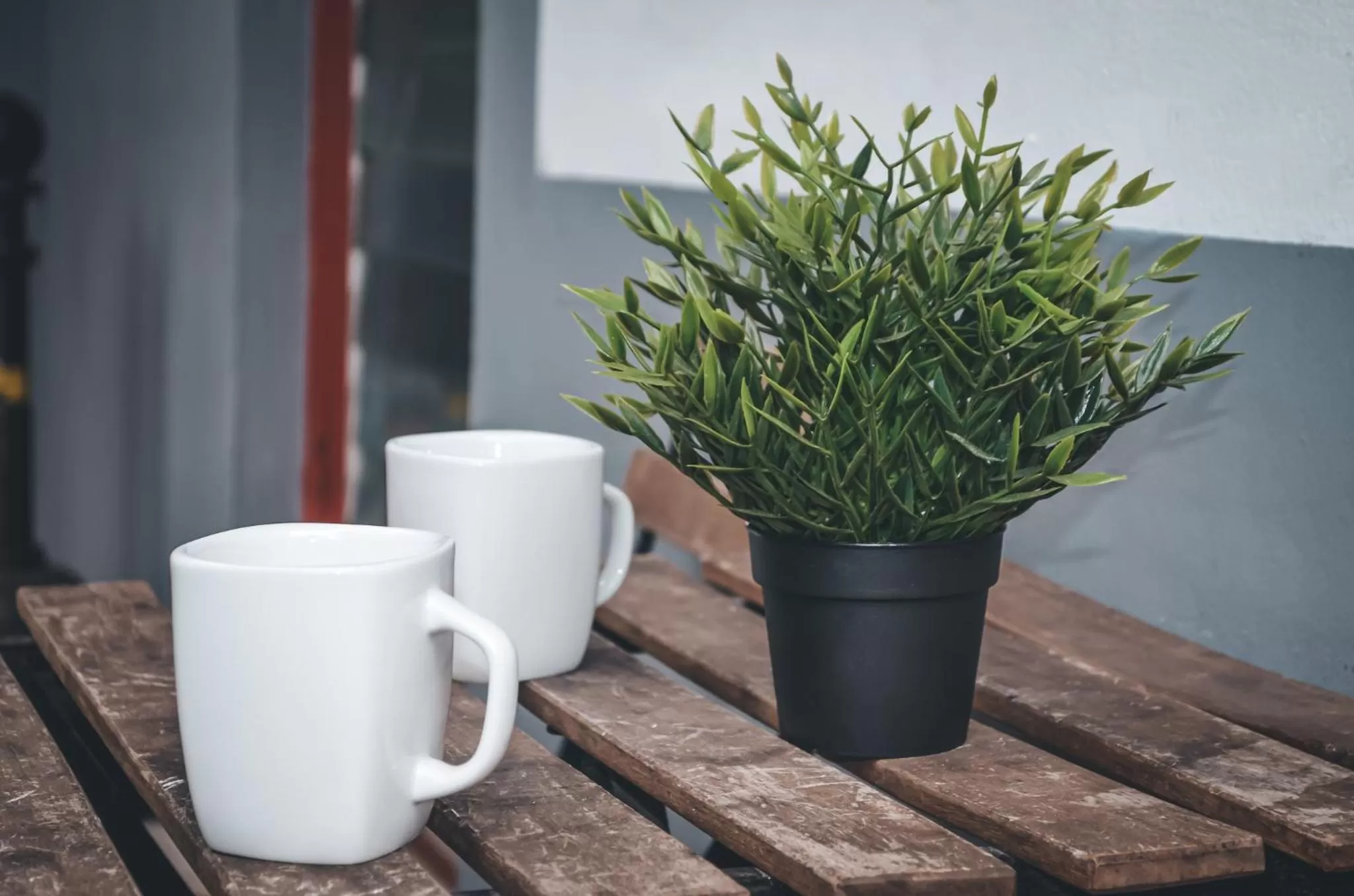 Patio in Hollywood Light Haven Lodge