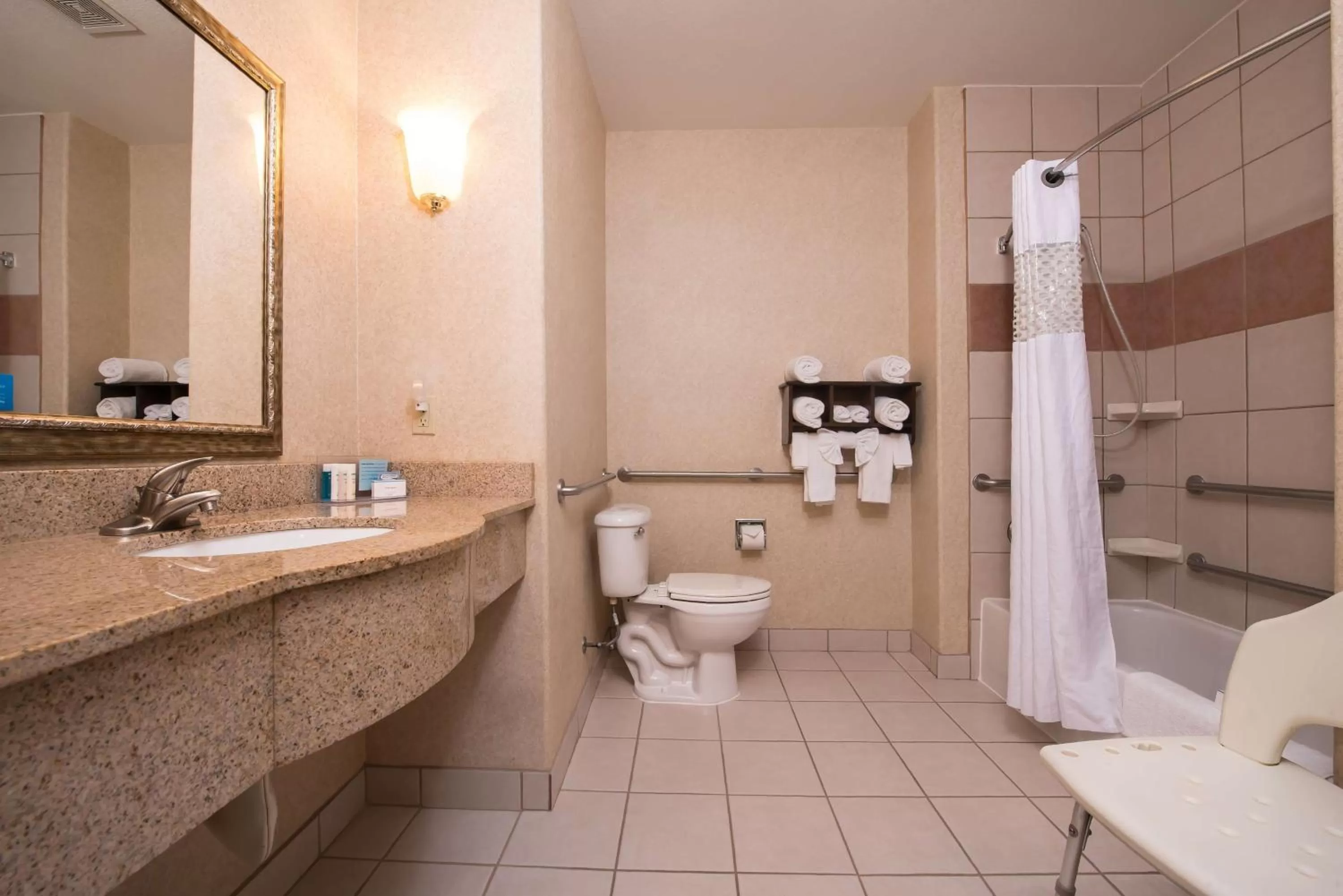 Bathroom in Hampton Inn & Suites Ontario