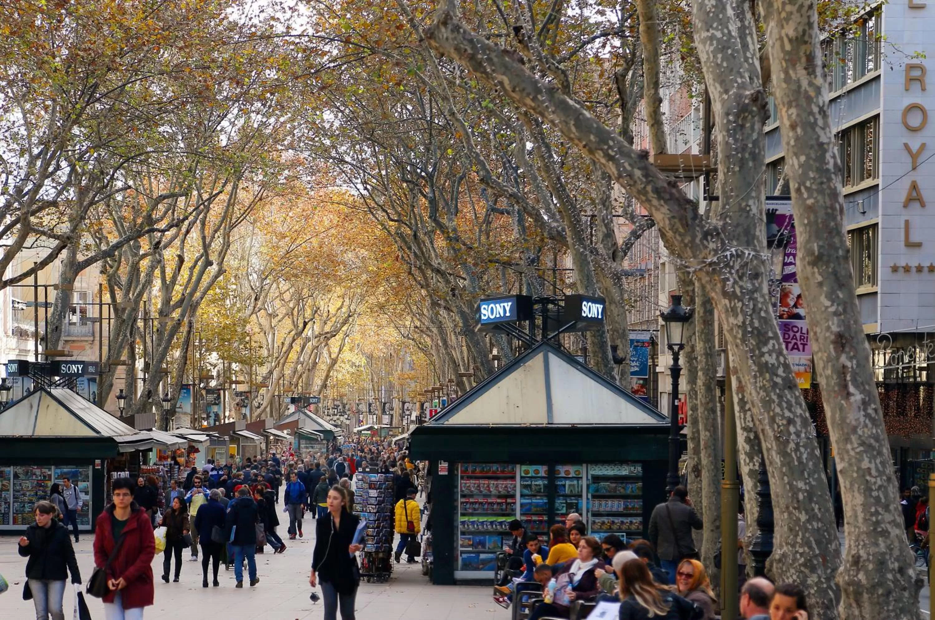 Area and facilities in Royal Ramblas