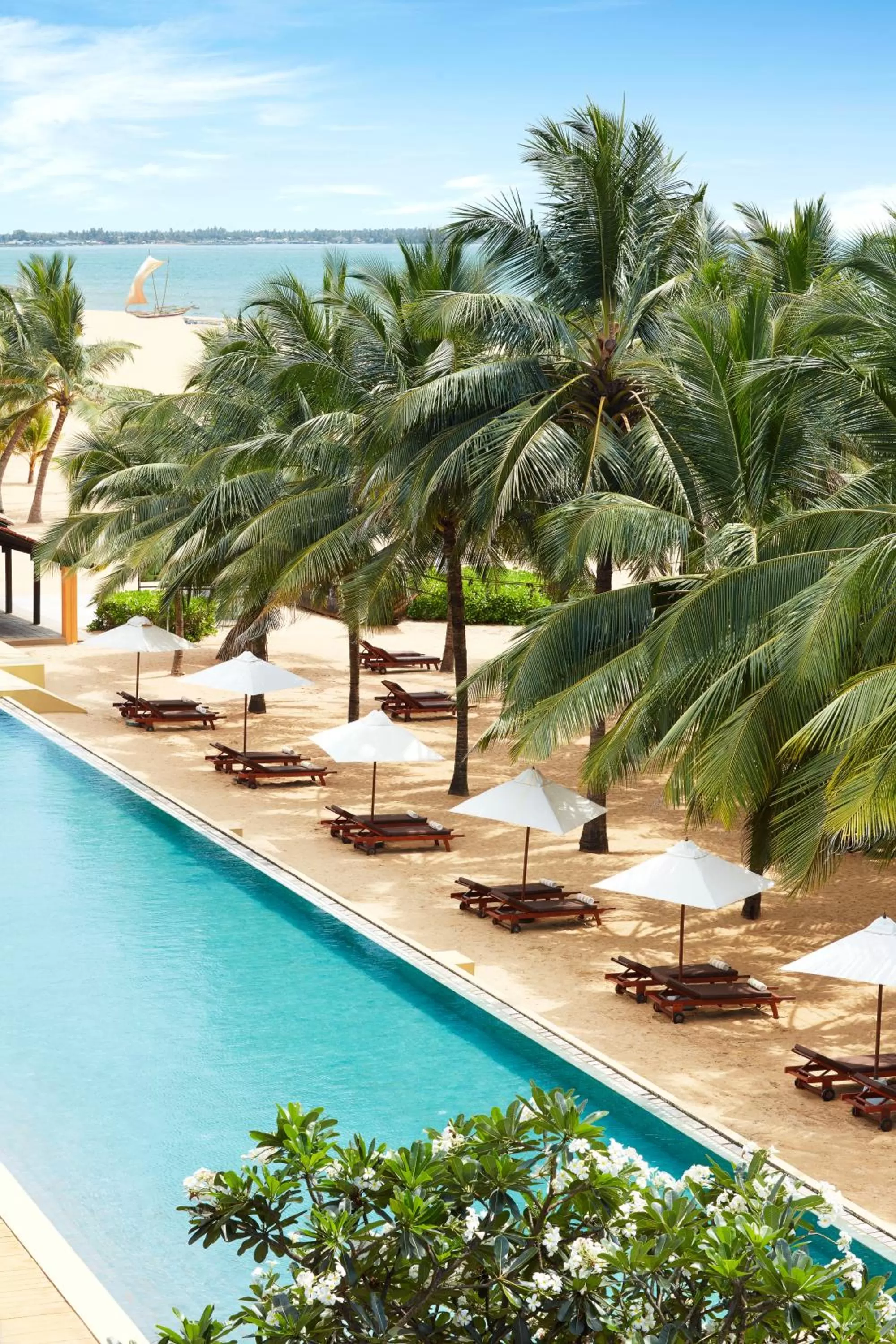 Swimming pool in Jetwing Beach