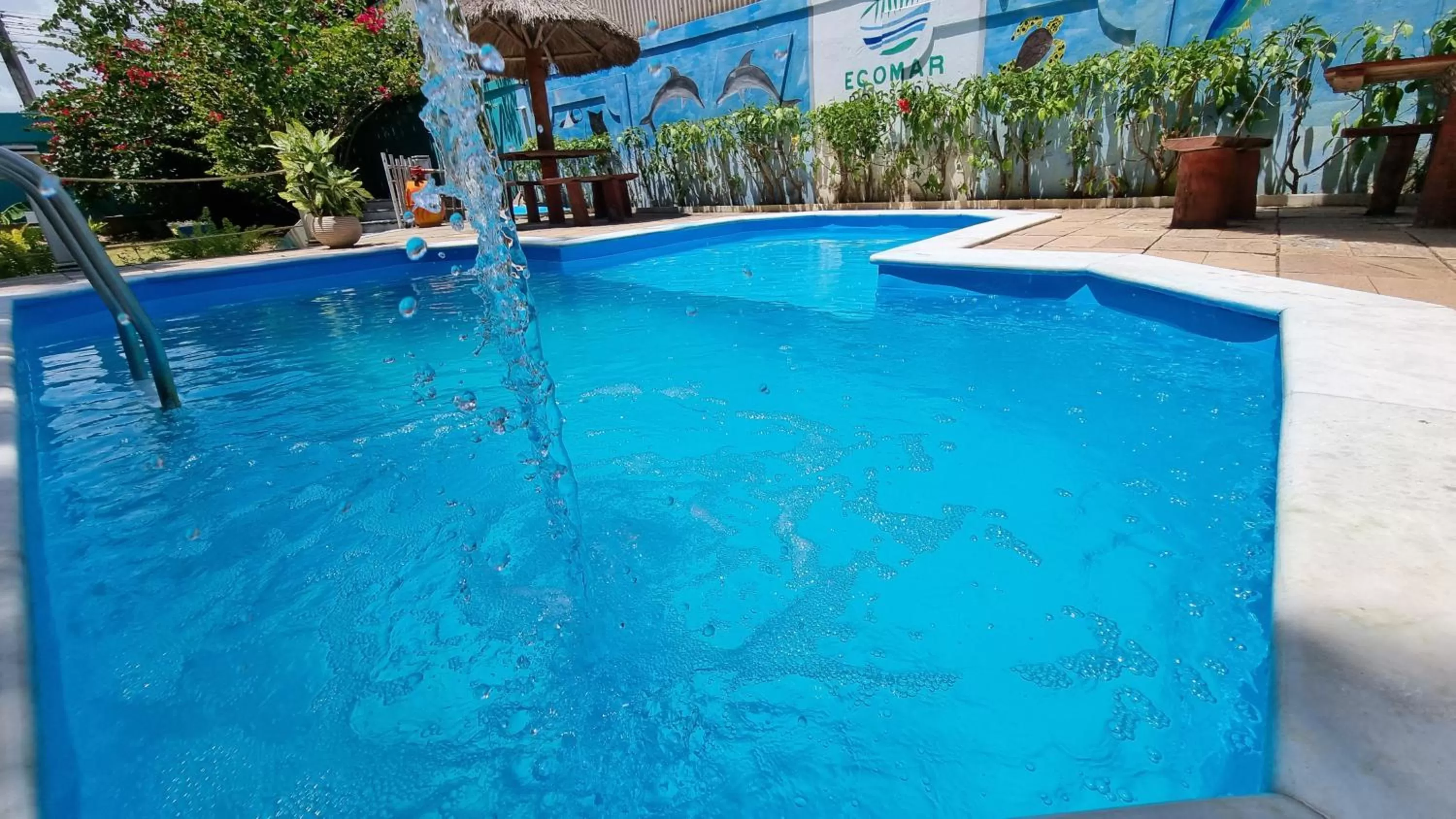 Swimming pool in Ecomar Pousada