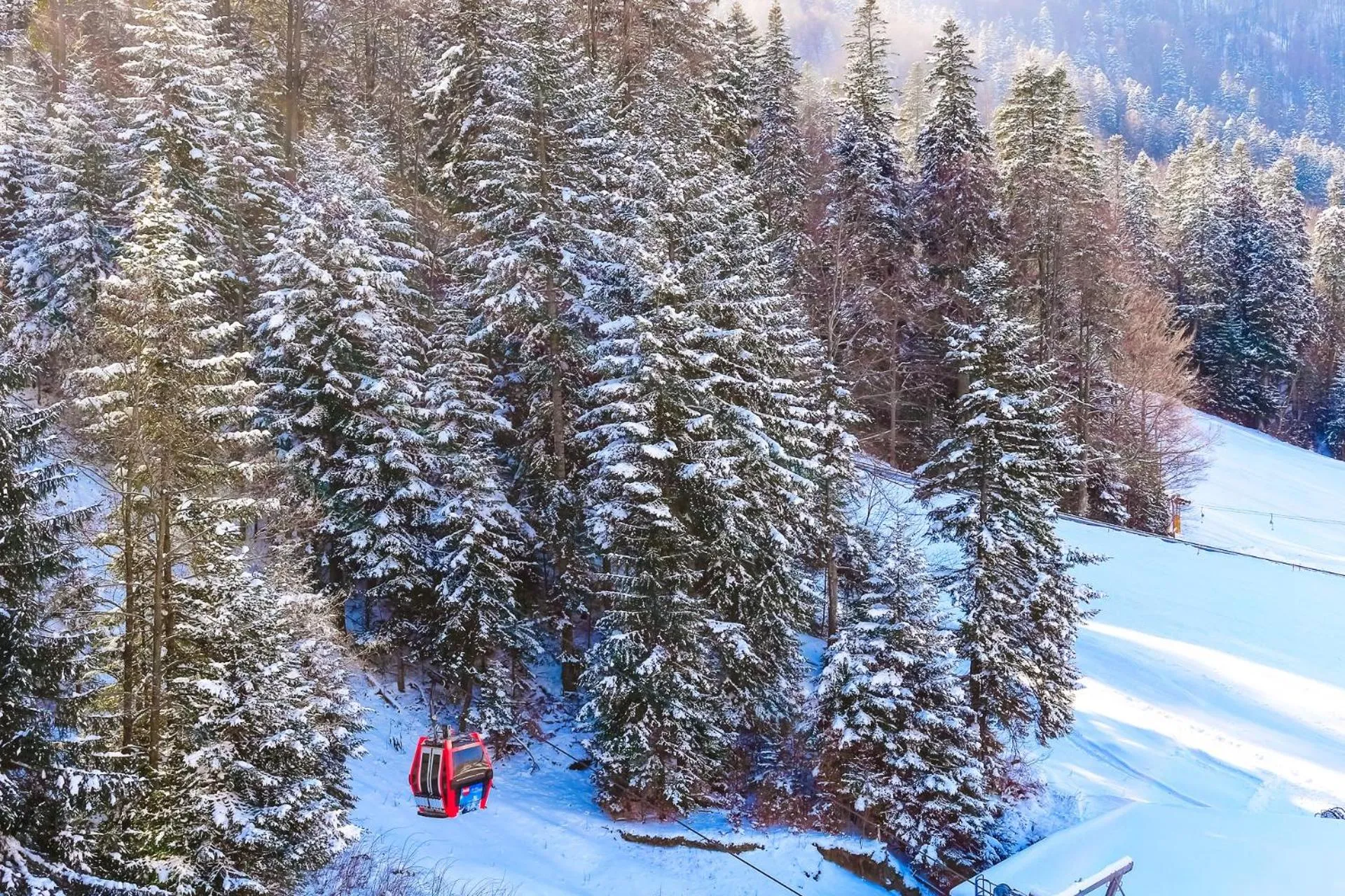 Natural landscape in Lux Garden Hotel