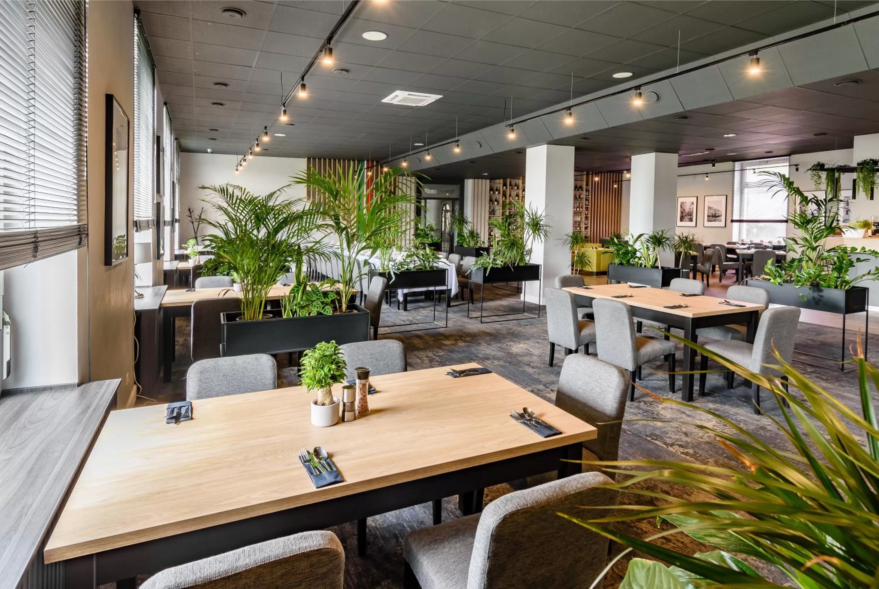 Restaurant/places to eat in Hotel IOR