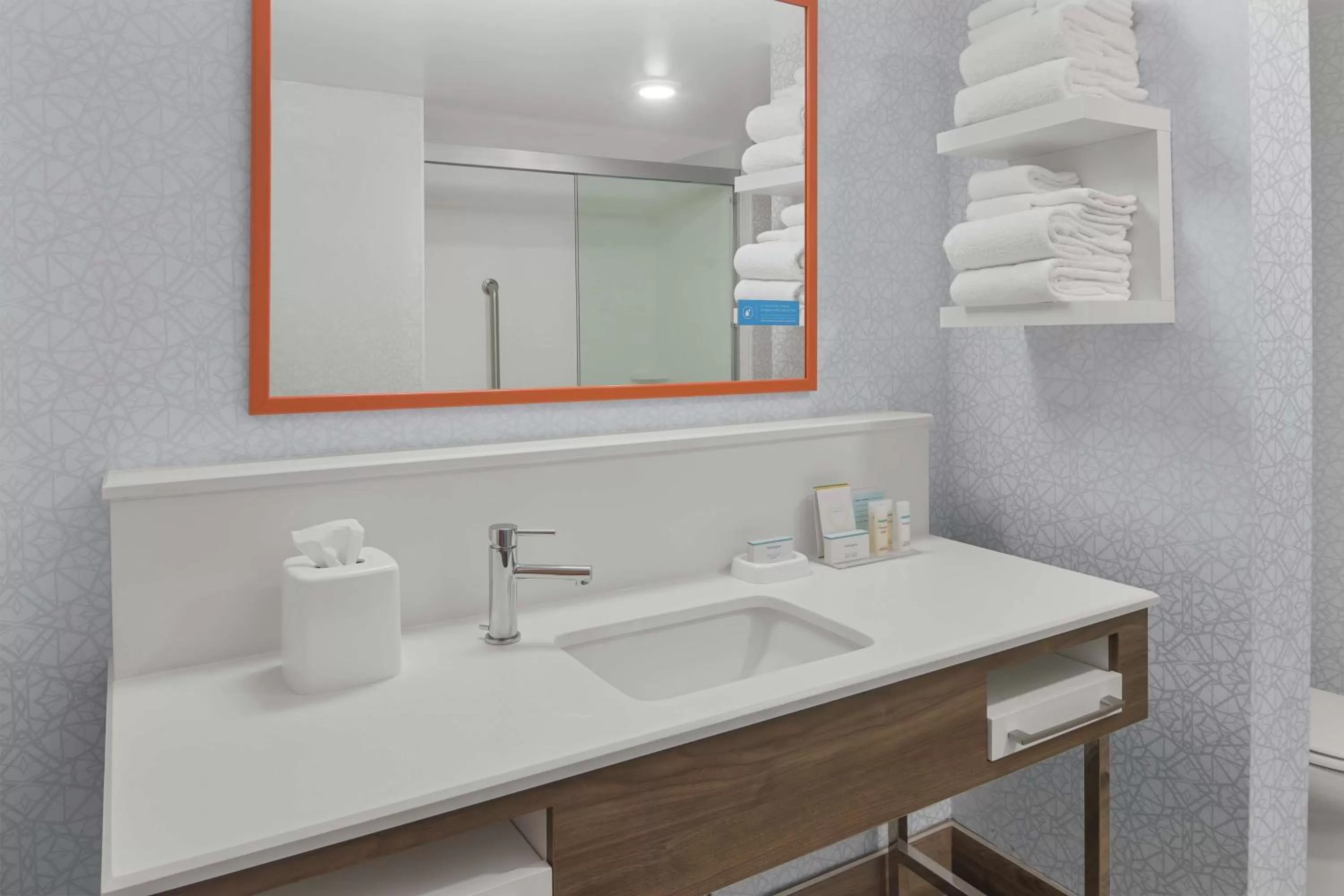 Bathroom in Hampton Inn & Suites Macon I-75 North