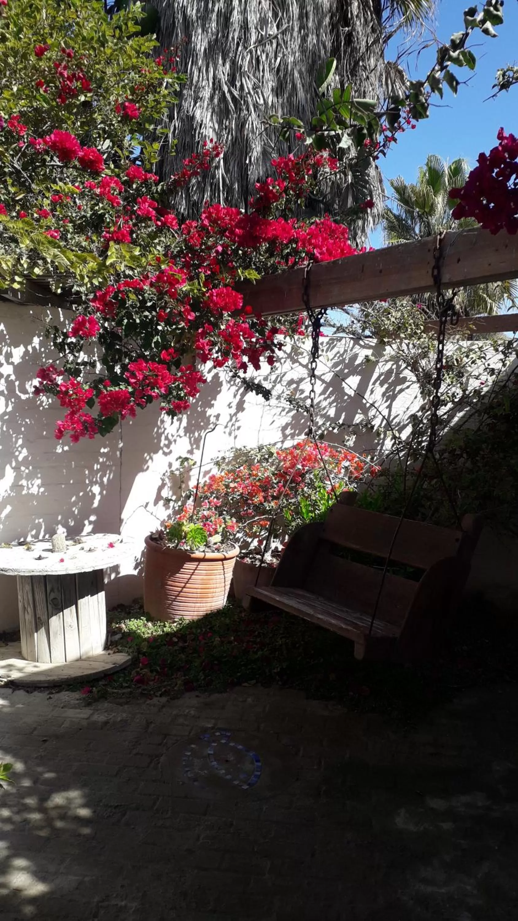 Alternative Space B & B