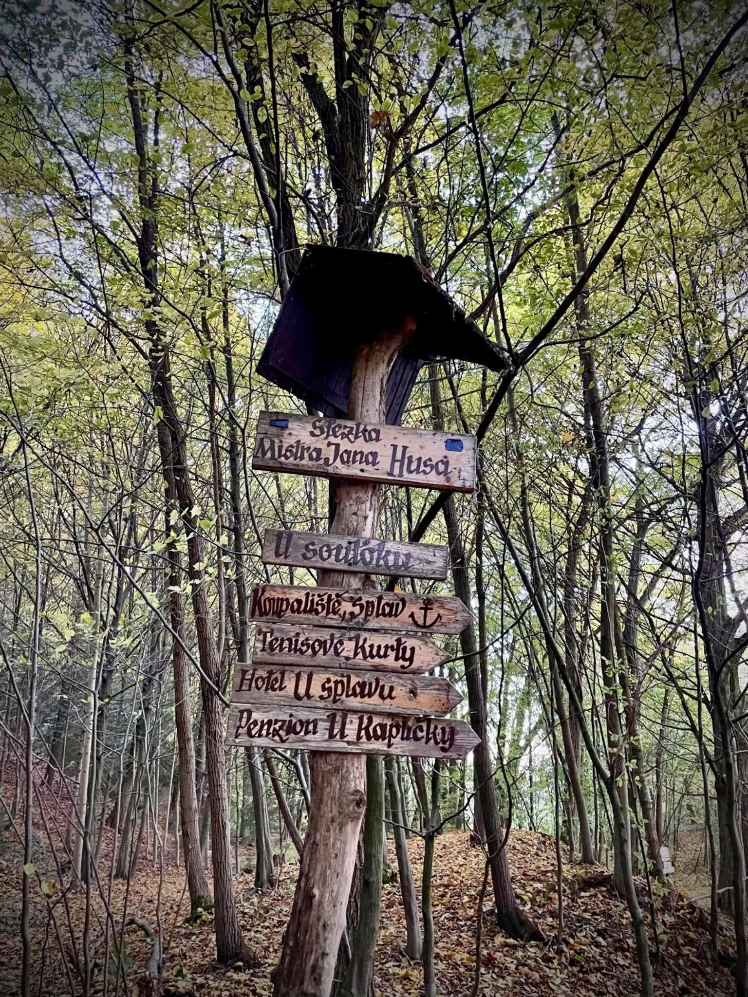 HARABURDI® Recyclart Hotel