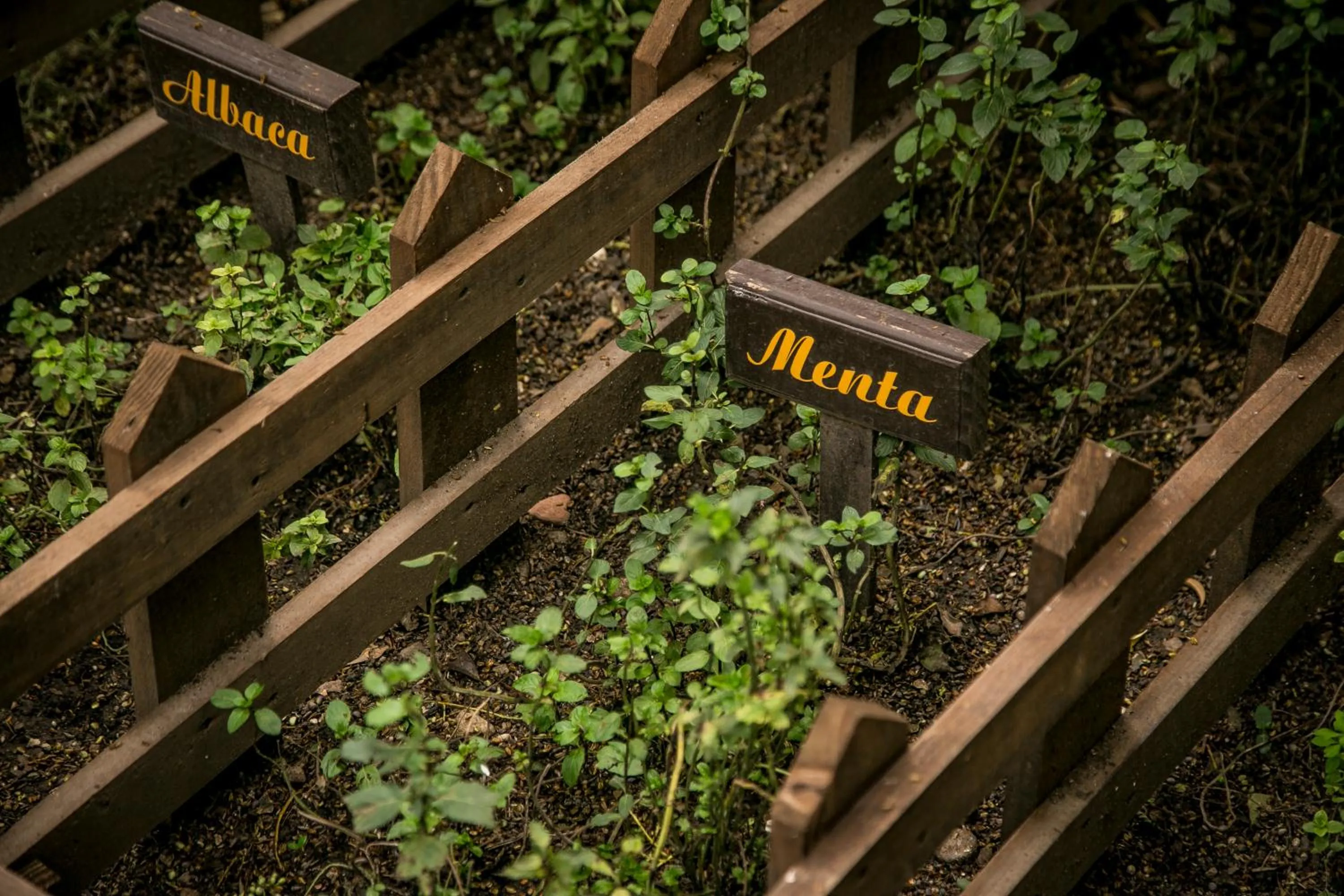 Decorative detail in Imperio De Angeles