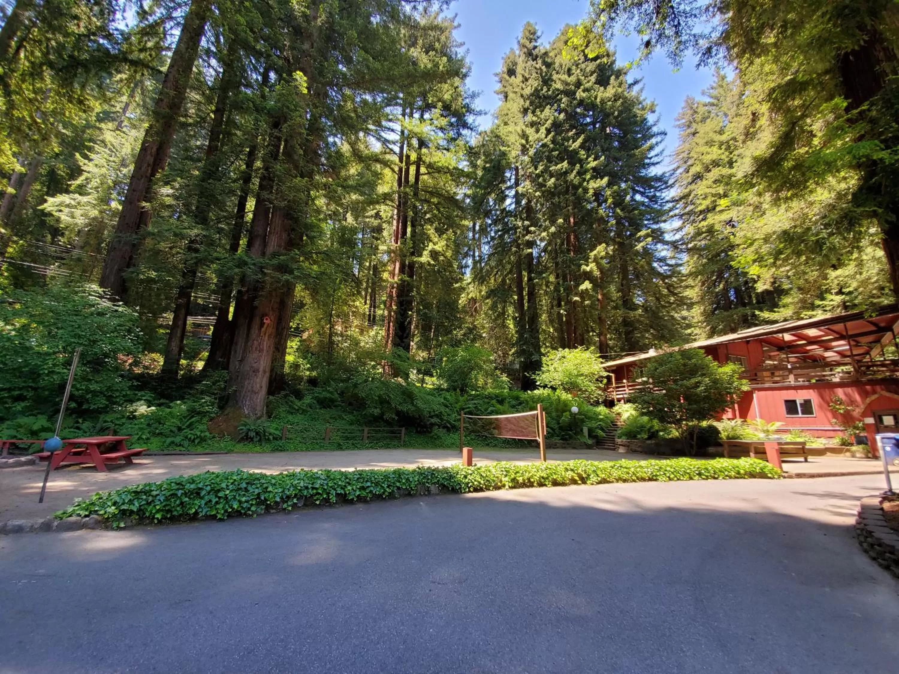 Activities in Fern River Resort