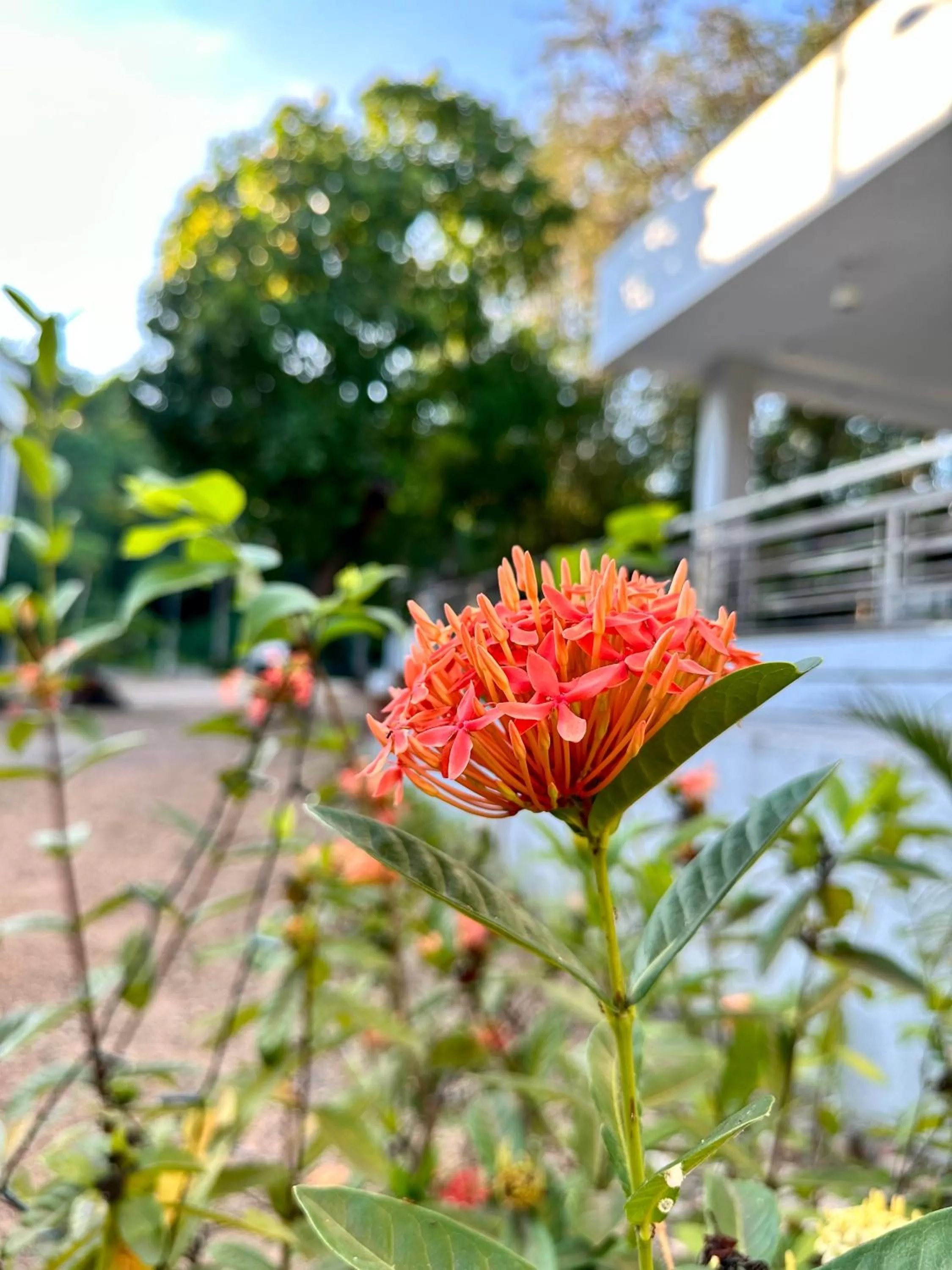 Day in Harbour Bliss Hotel