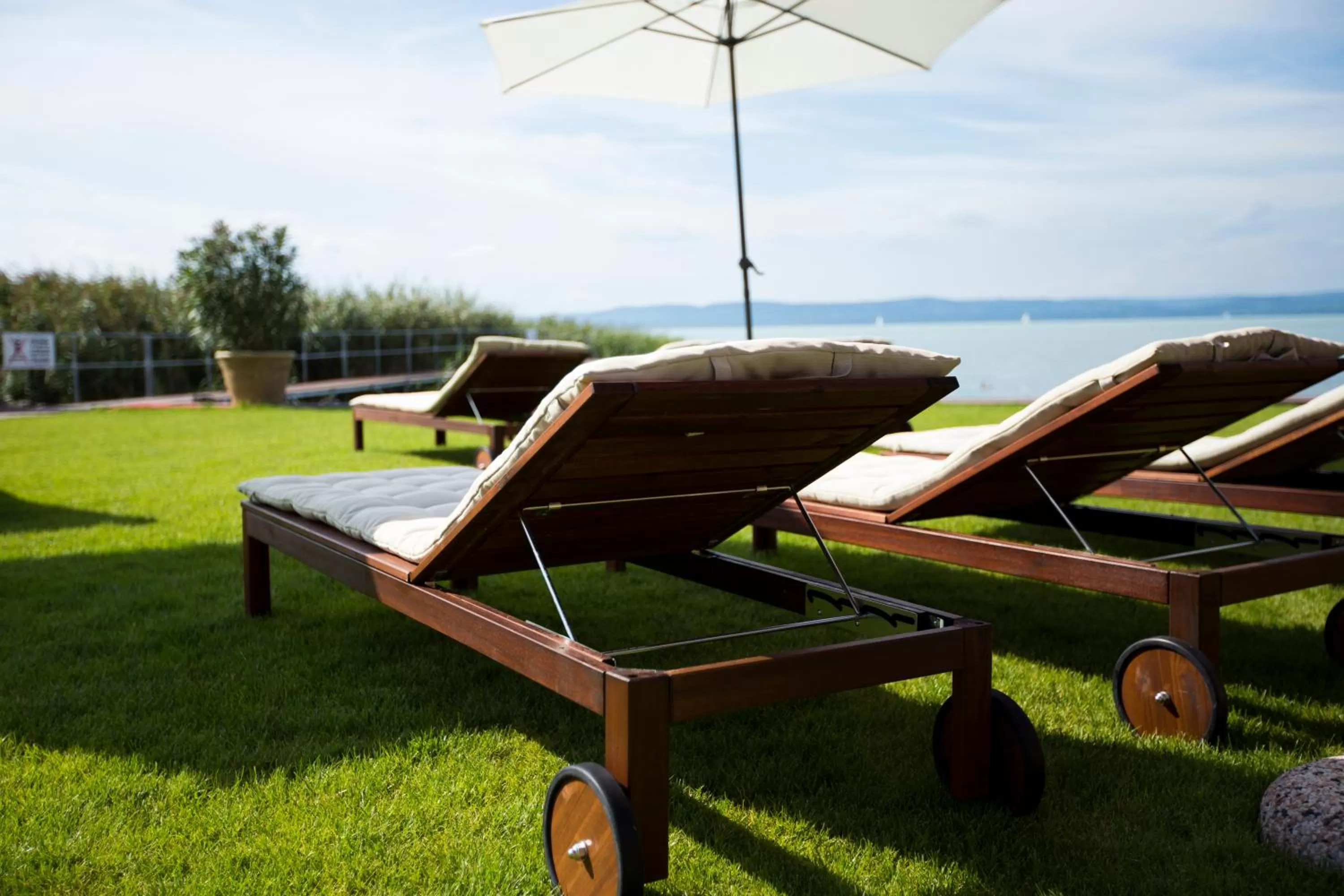 Garden in Pole Position Beach Hotel