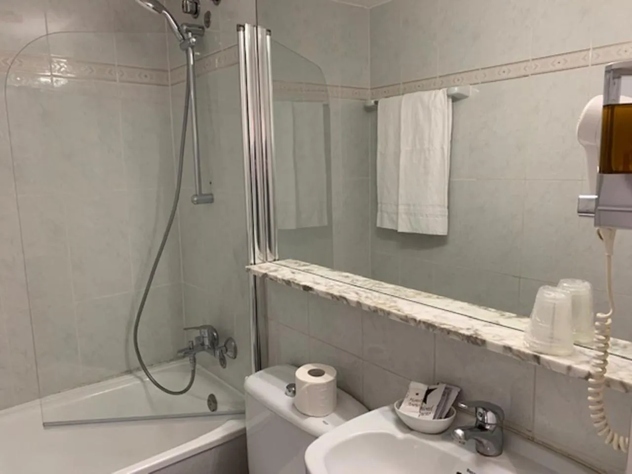 Superior Twin Room in Hotel Aneto