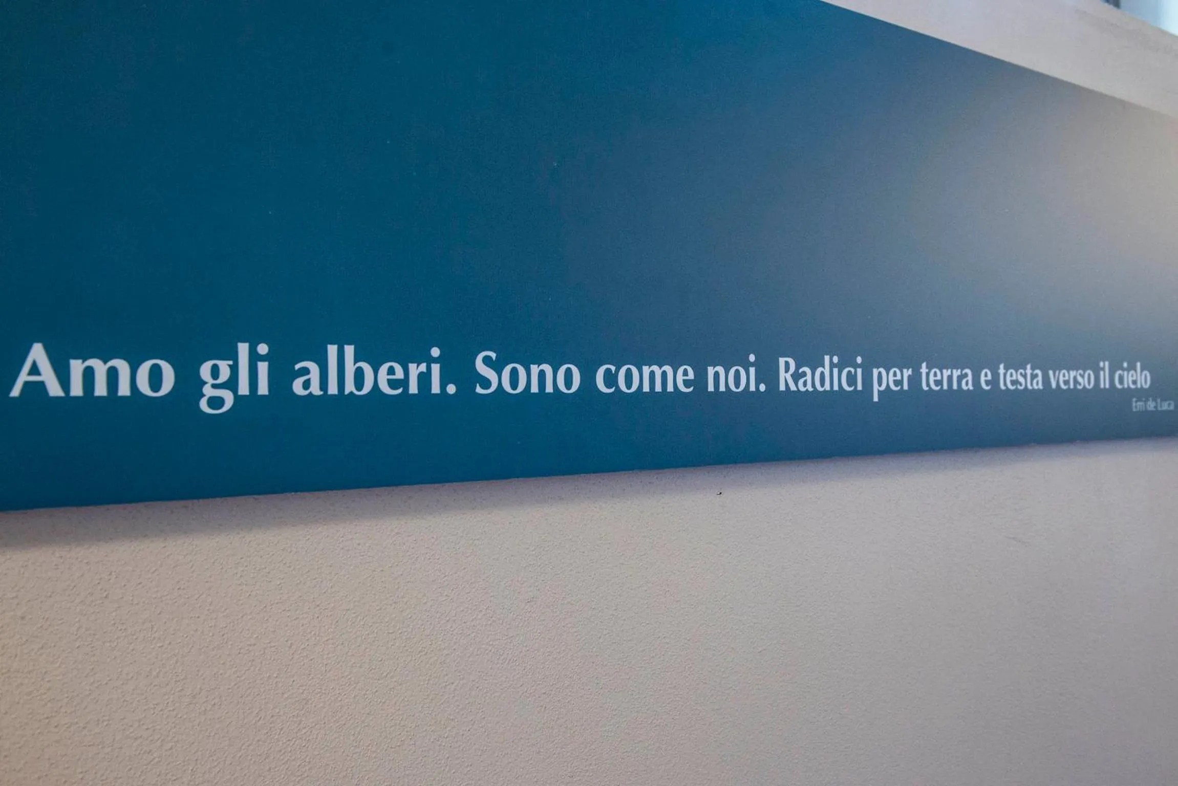 Logo/Certificate/Sign in Pistoia Nursery Campus - agriturismo in città