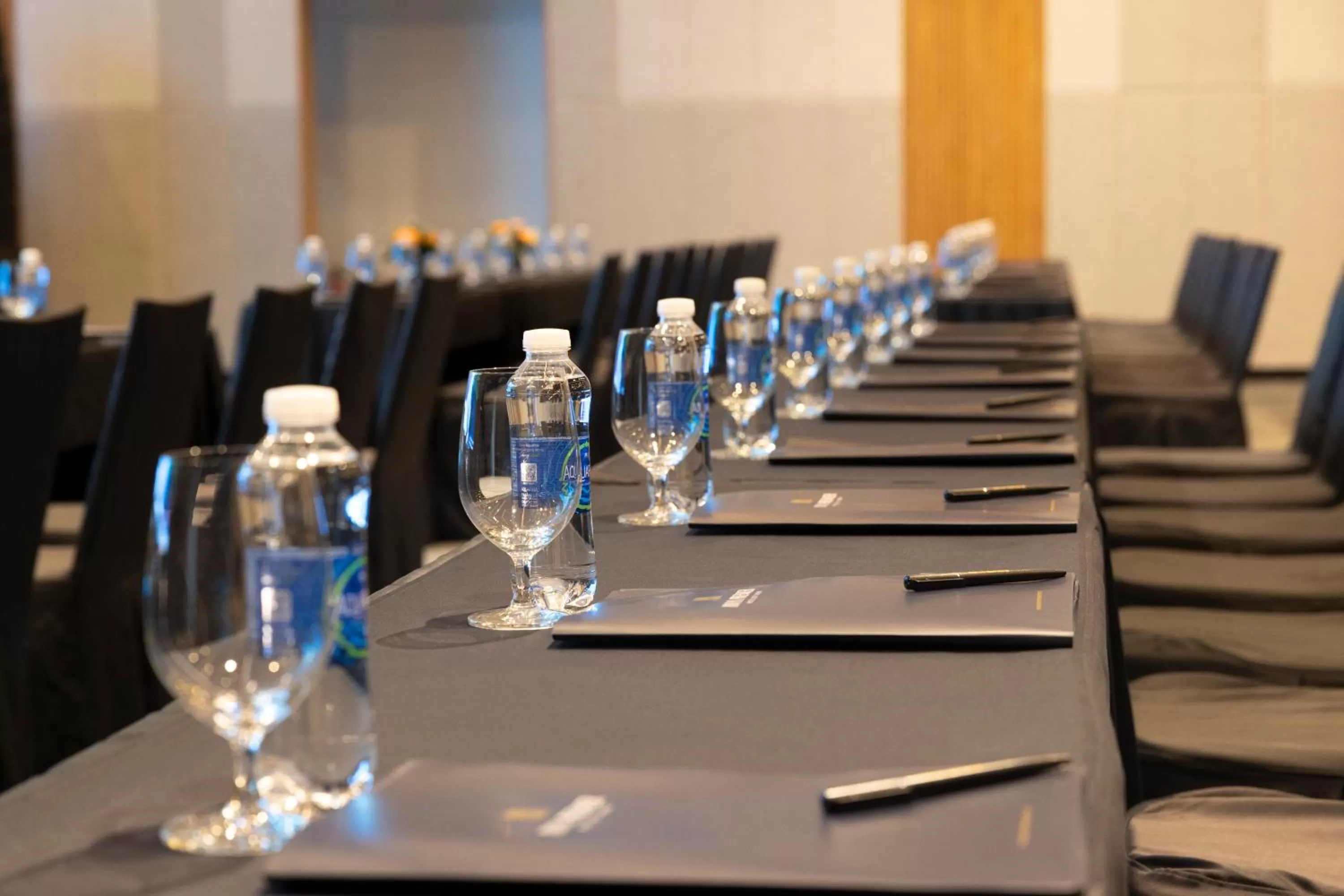 Meeting/conference room in Anya Premier Beachfront Hotel Quy Nhon