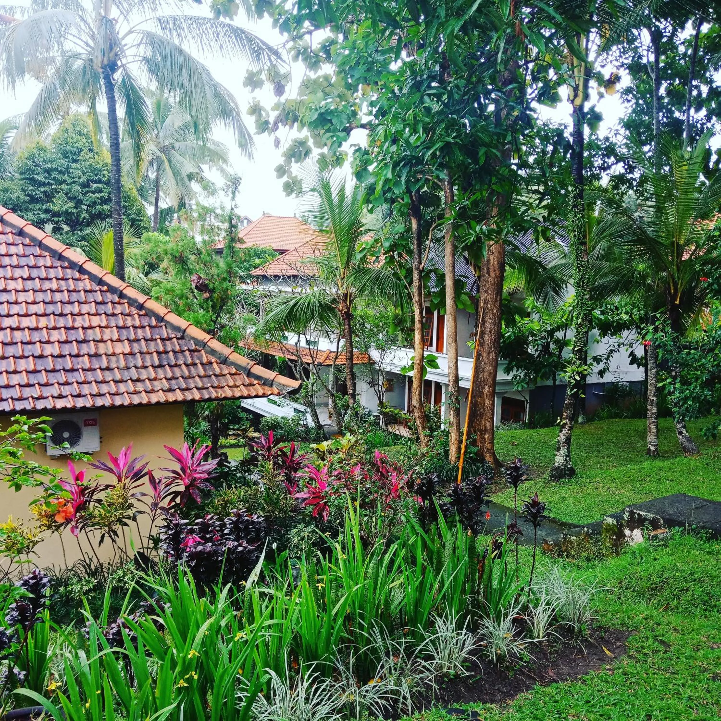 Natural landscape in Argasoka Bungalows