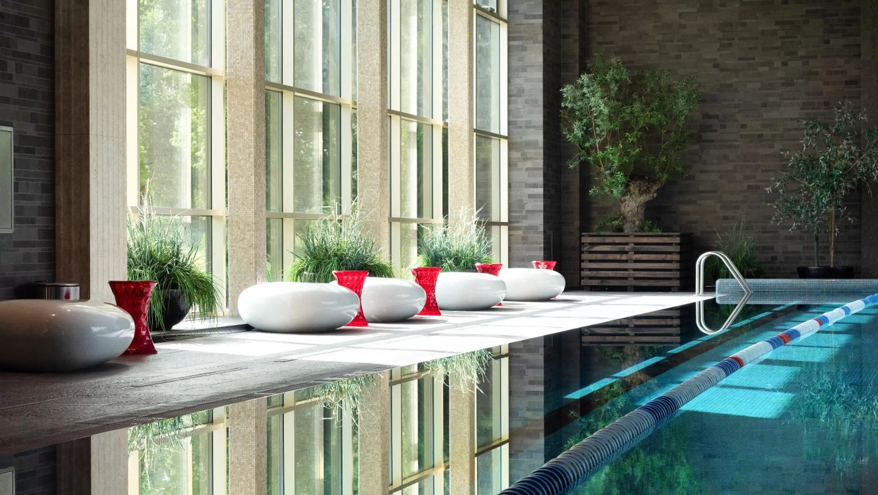 Pool view in Harmony Park Hotel & SPA