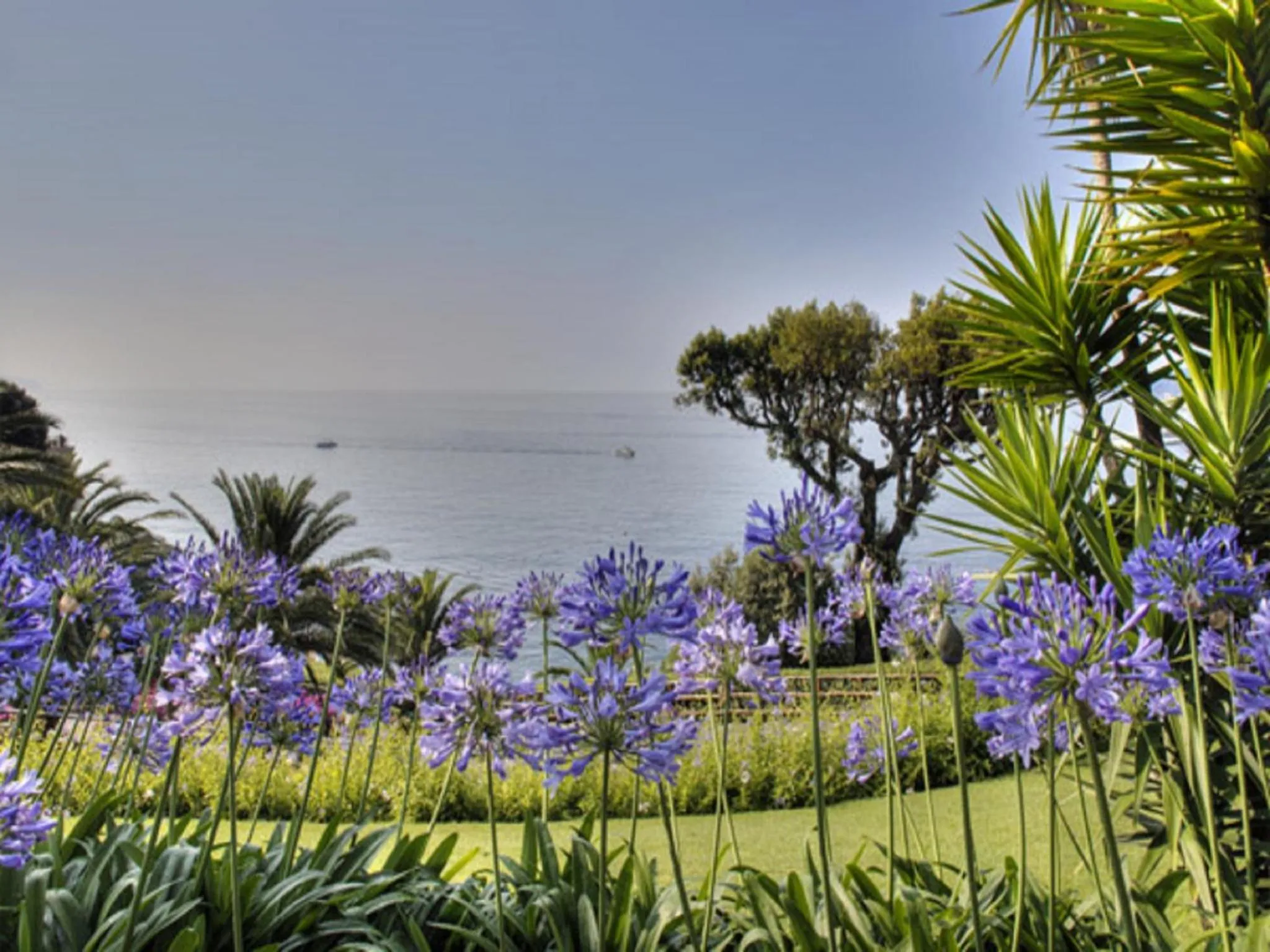 Natural landscape in Hotel Continental