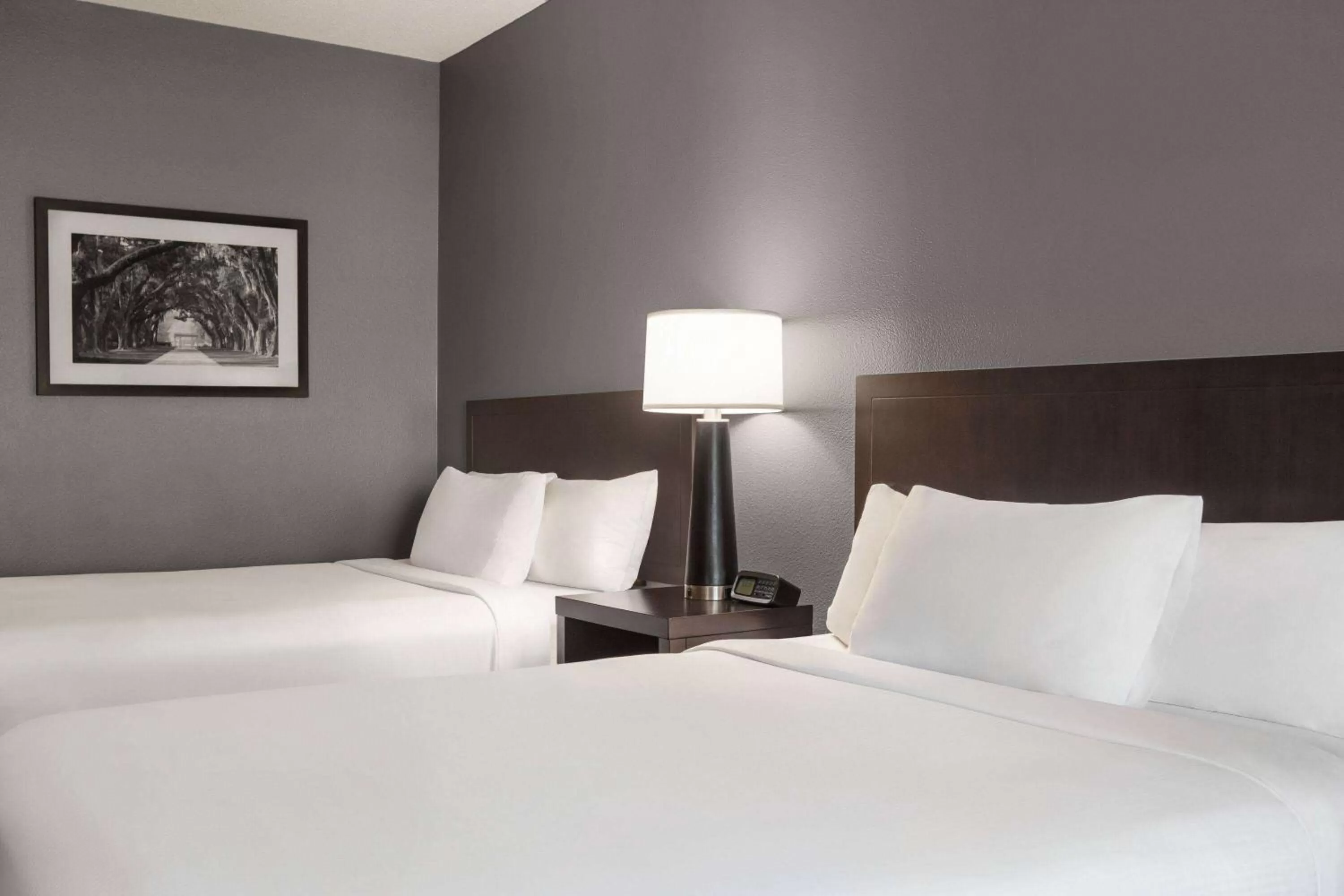 Photo of the whole room, Bed in Wingate by Wyndham Port Wentworth Savannah Area