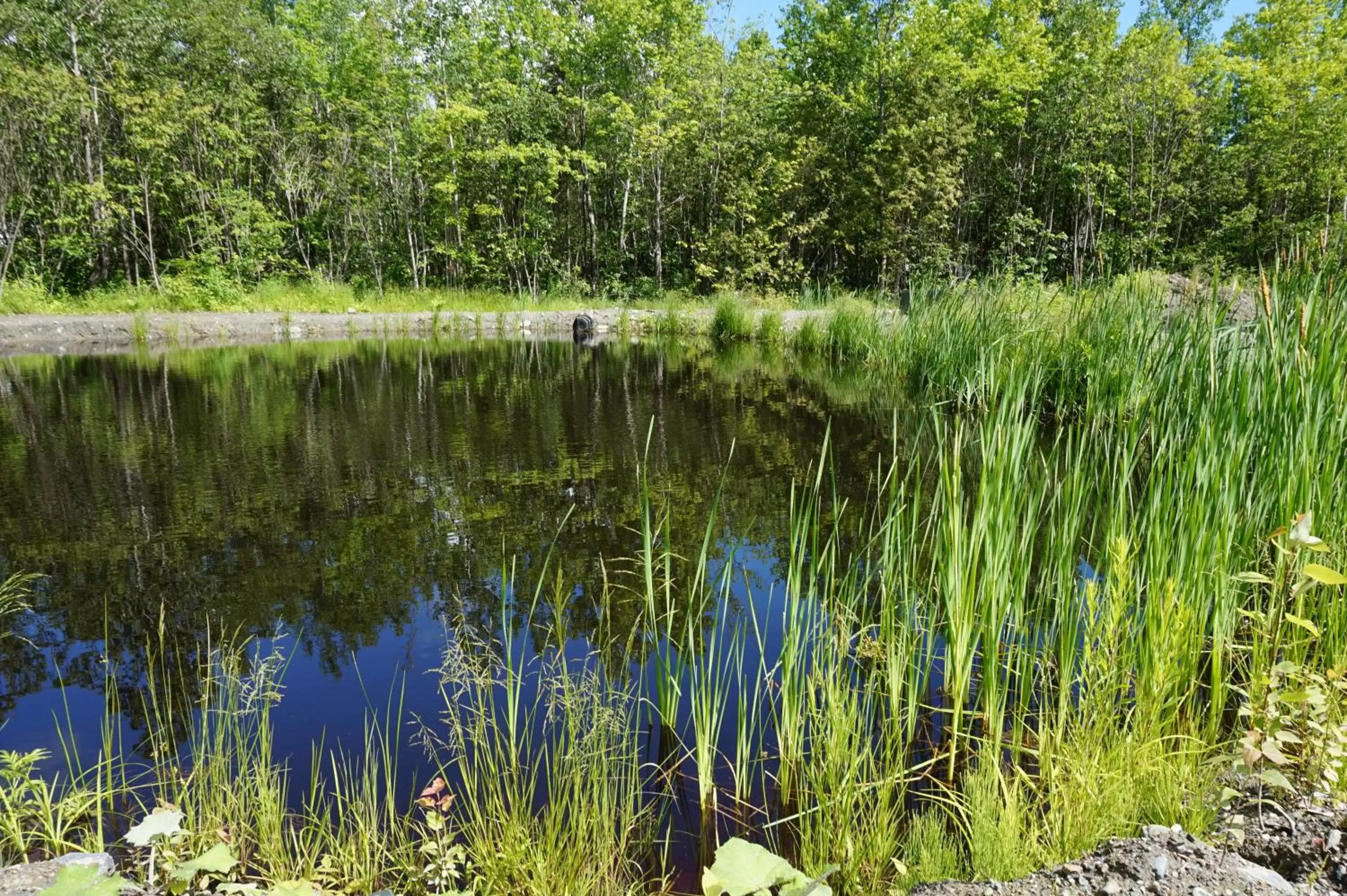 Natural landscape in Gite L'Antre d'Eux