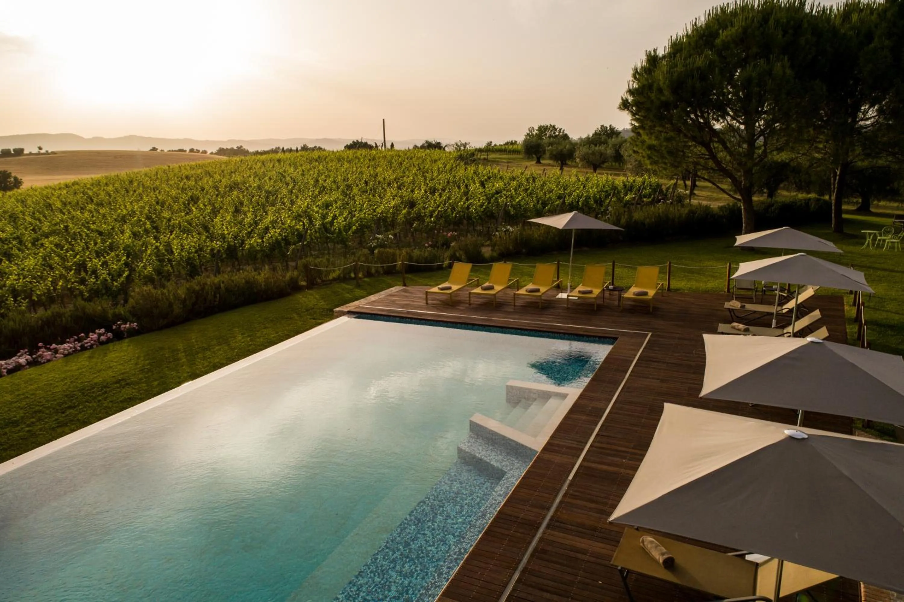 Natural landscape in Roccafiore Wine Resort & Spa