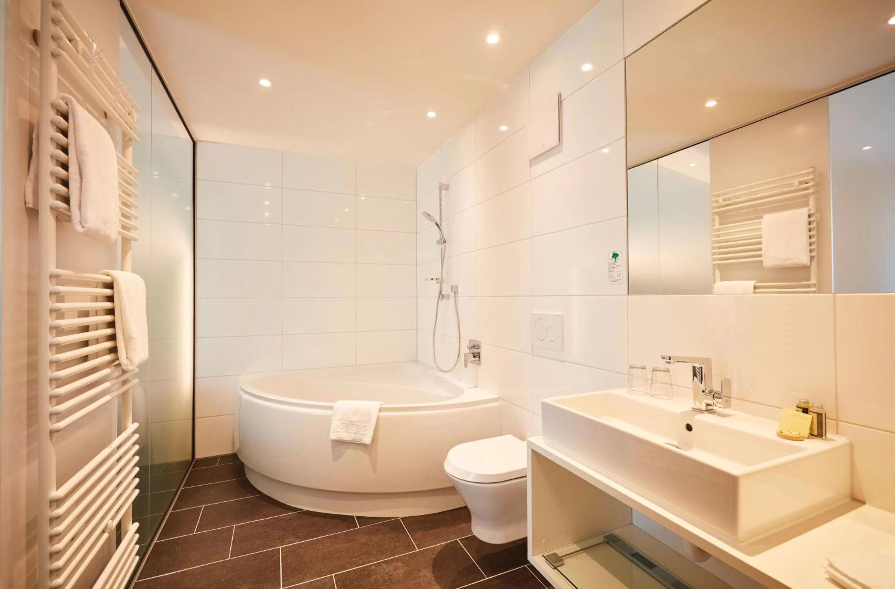 Toilet in Vital Hotel an der Therme GmbH