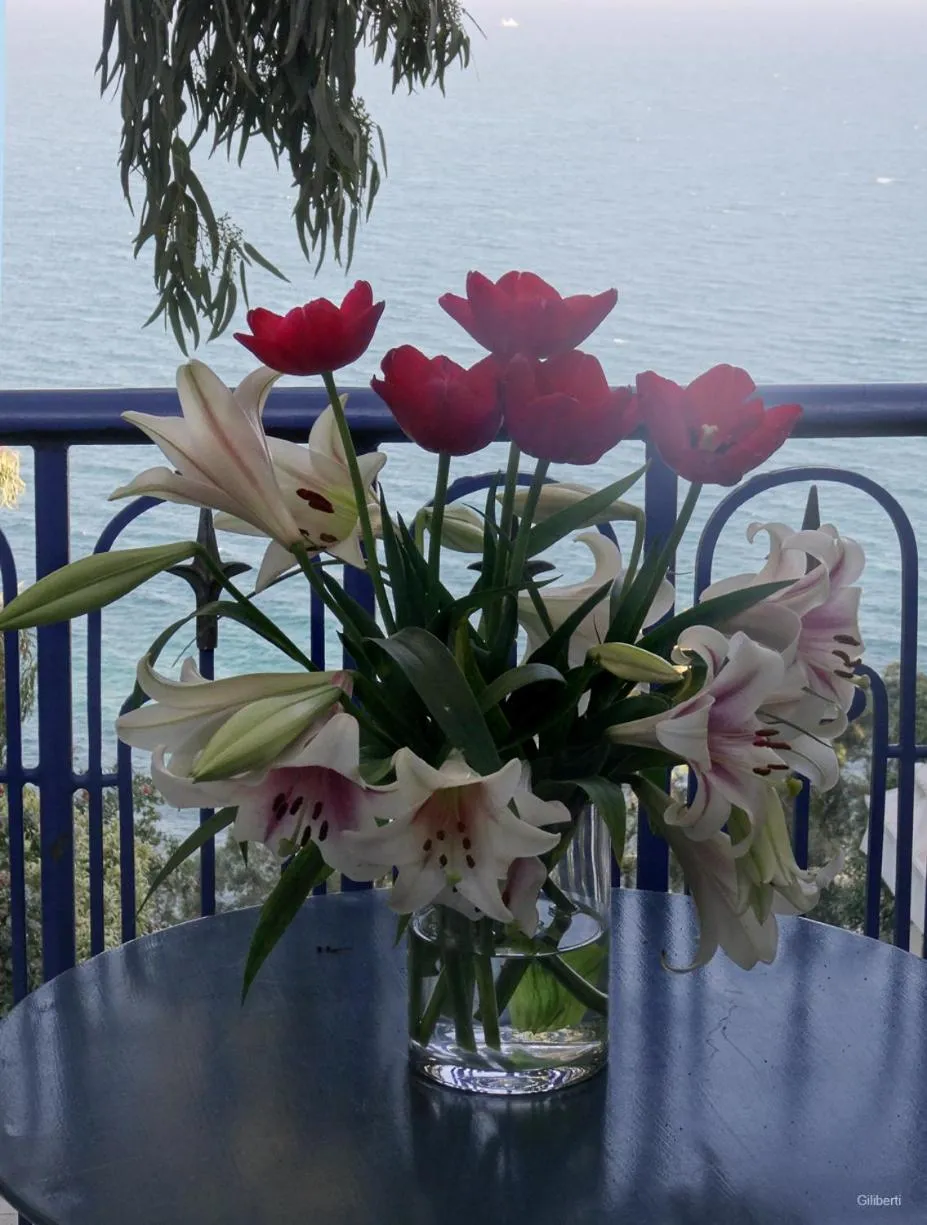 Balcony/Terrace in La Villa Bleue-Sidi Bou Said