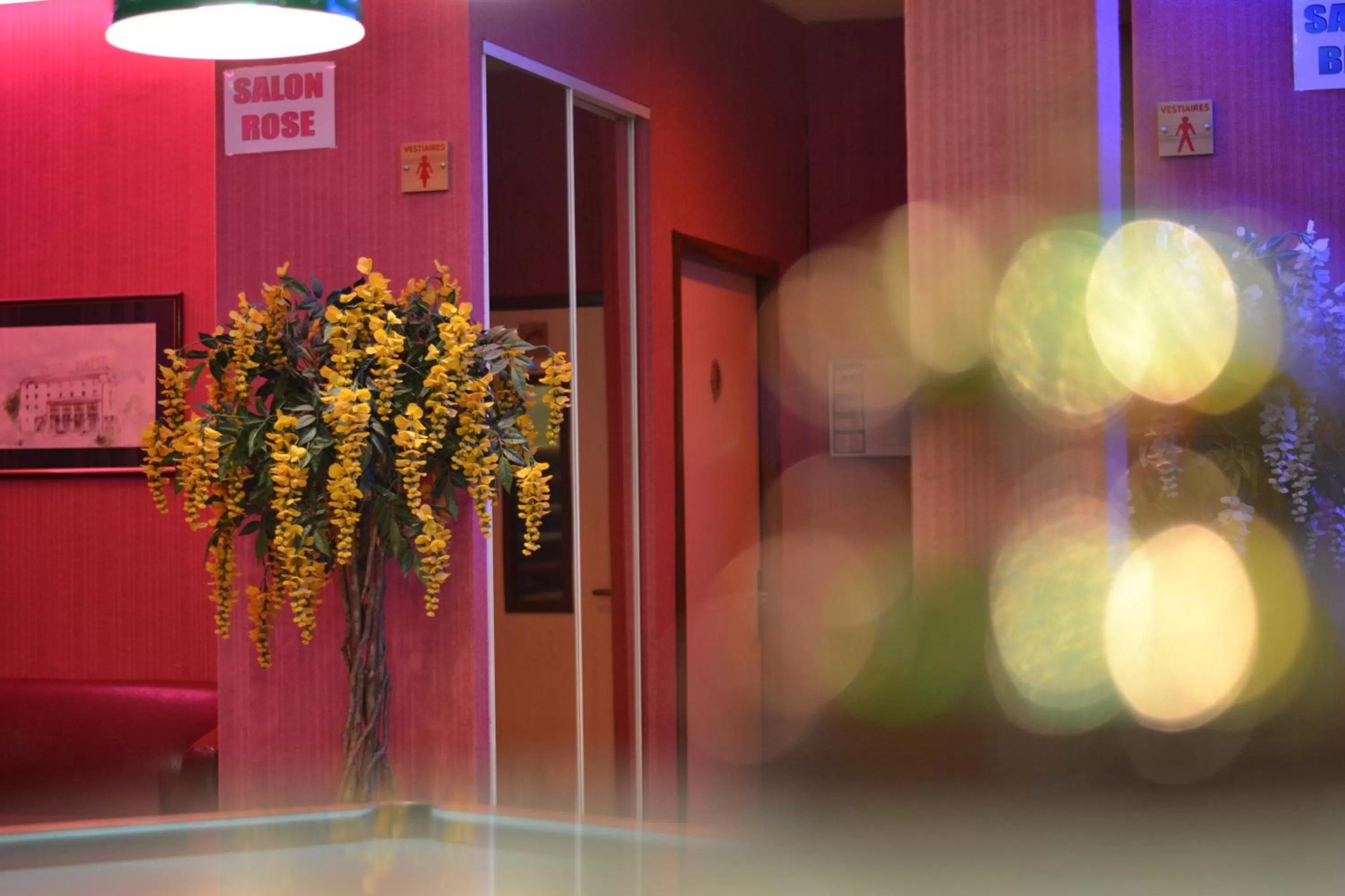 Decorative detail in Hôtel Siatel Besançon Chateaufarine