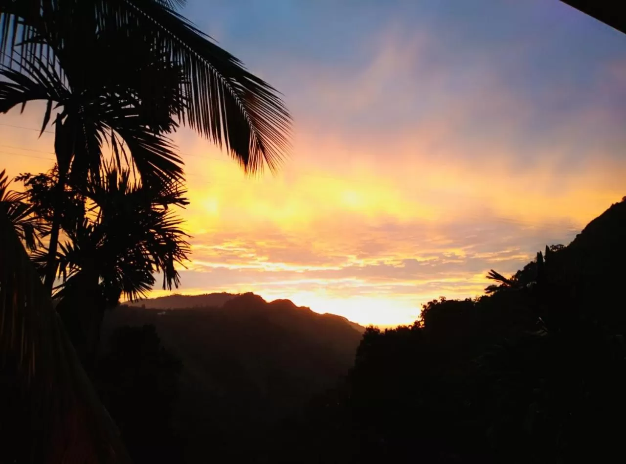 Day in Different View