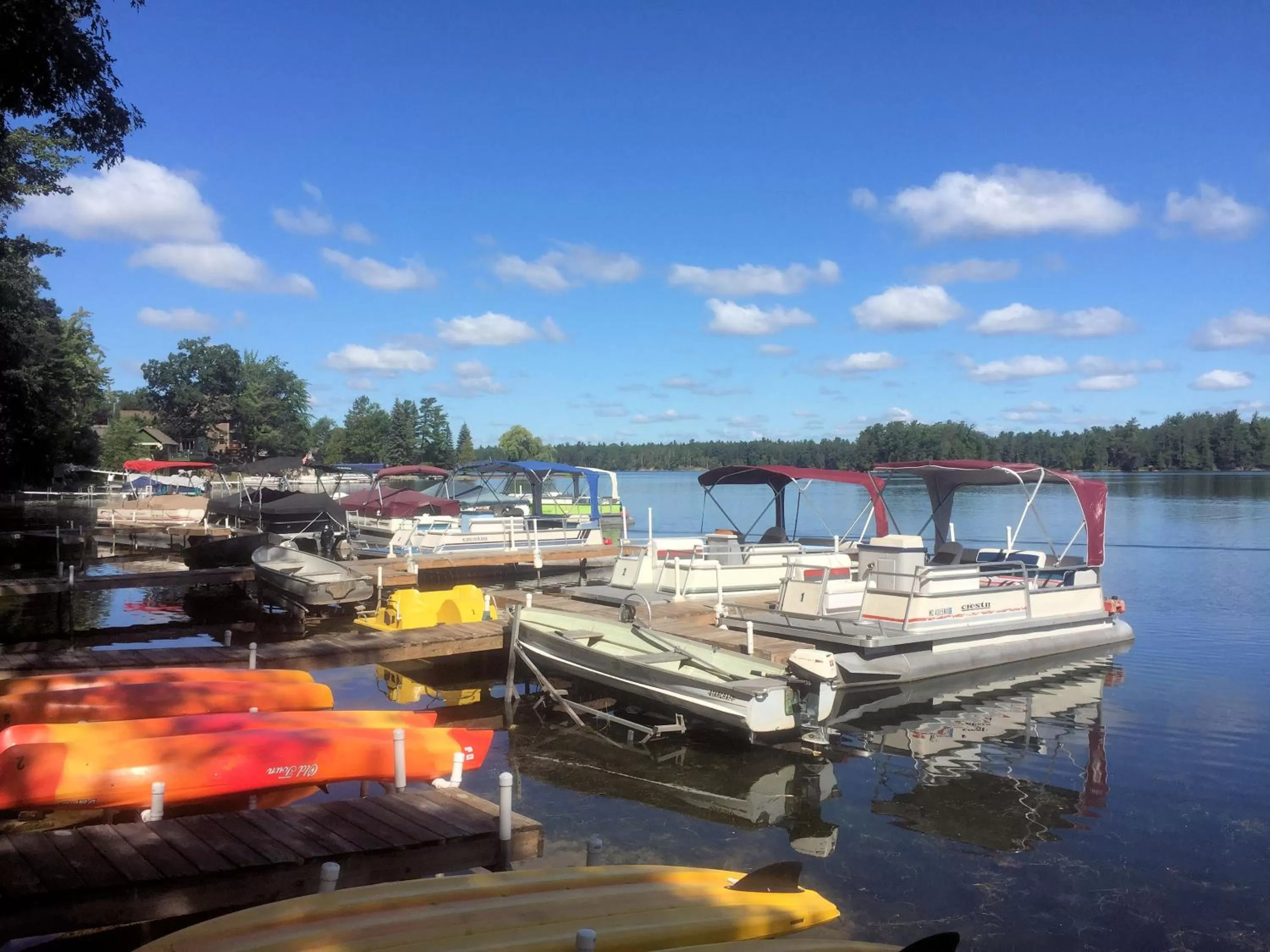 Natural landscape in Clear Lake Resort