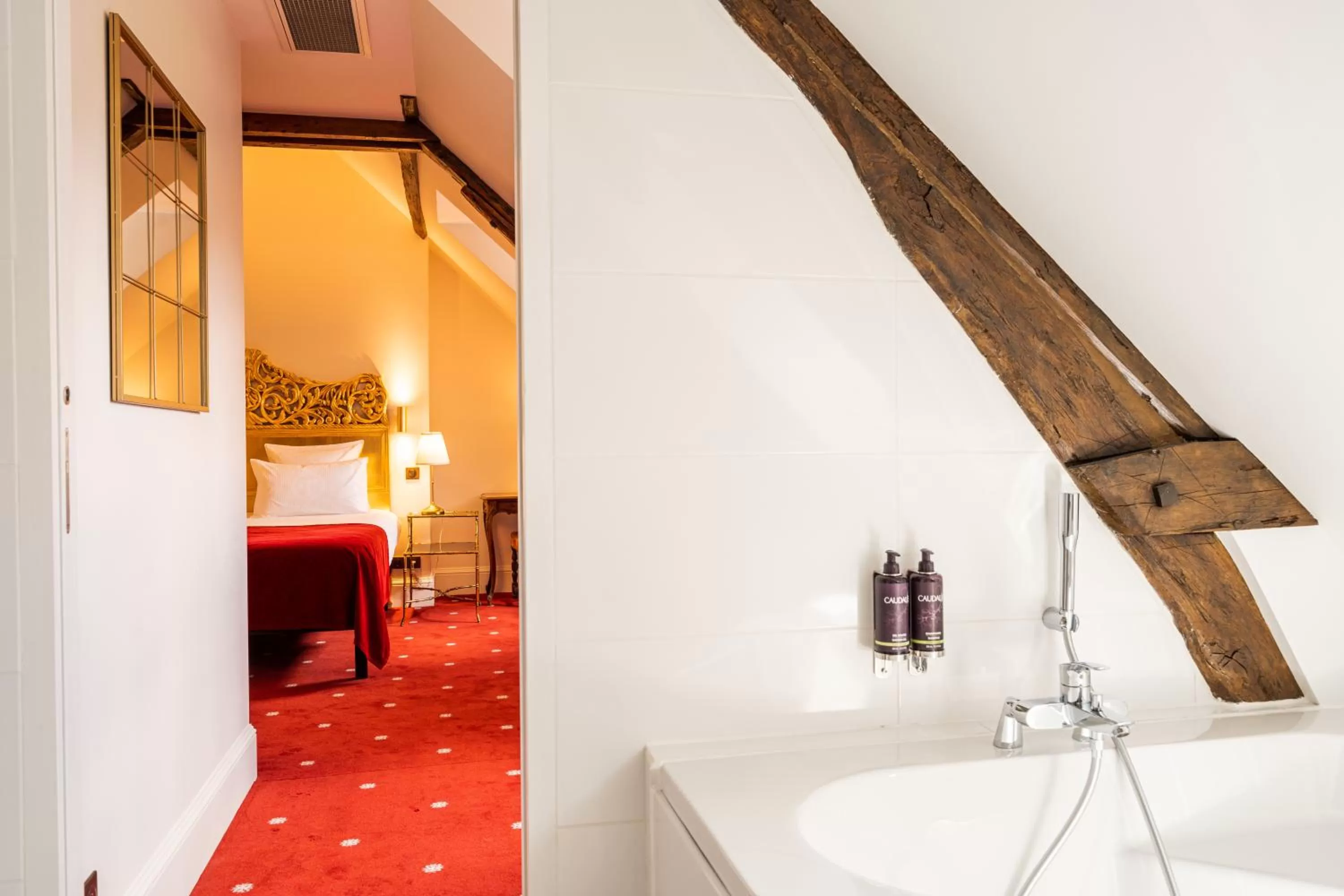 Bathroom, Bed in Le Manoir Saint Thomas