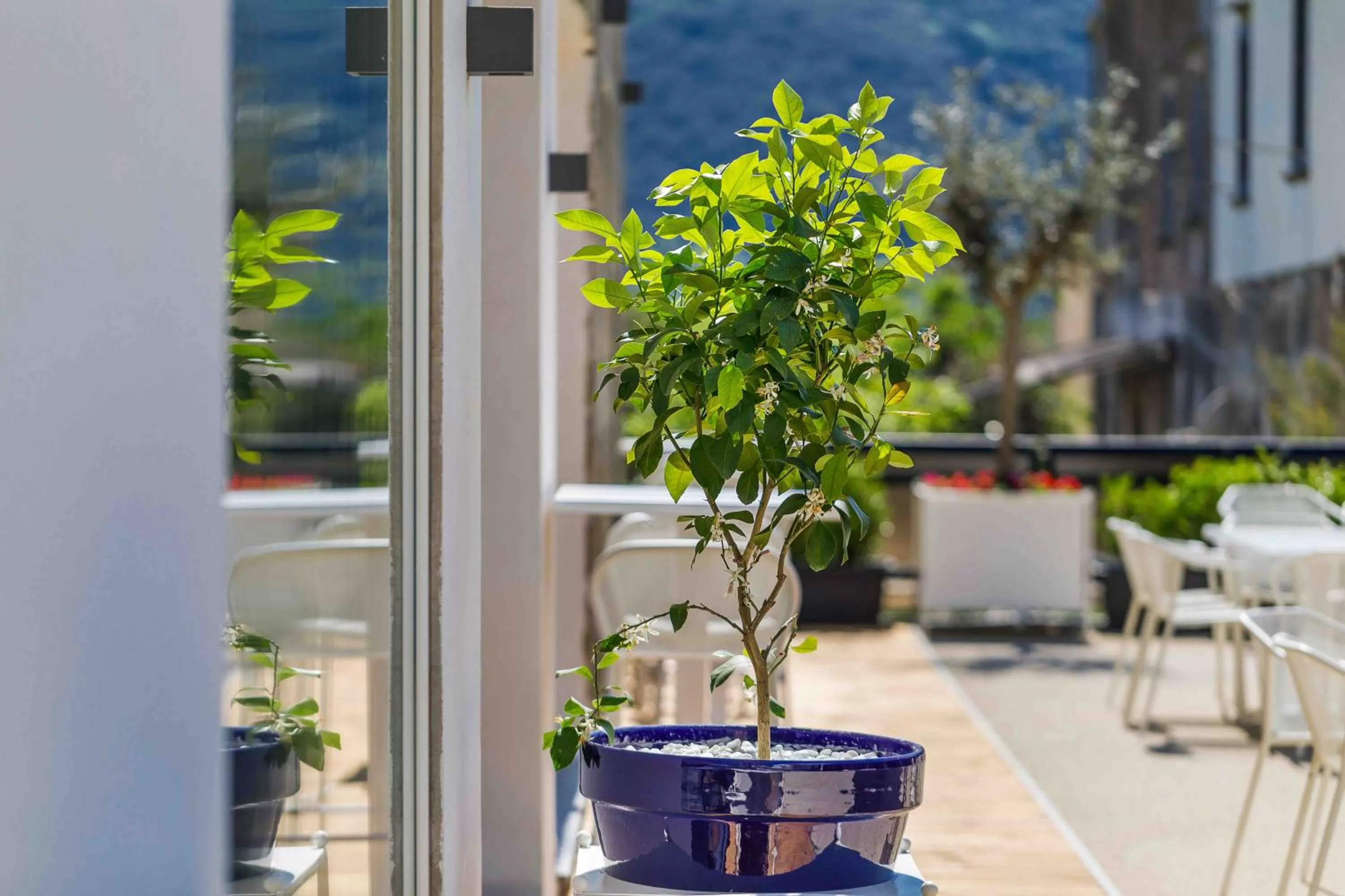 Garden in Domo 20 Hotel & Rooftop