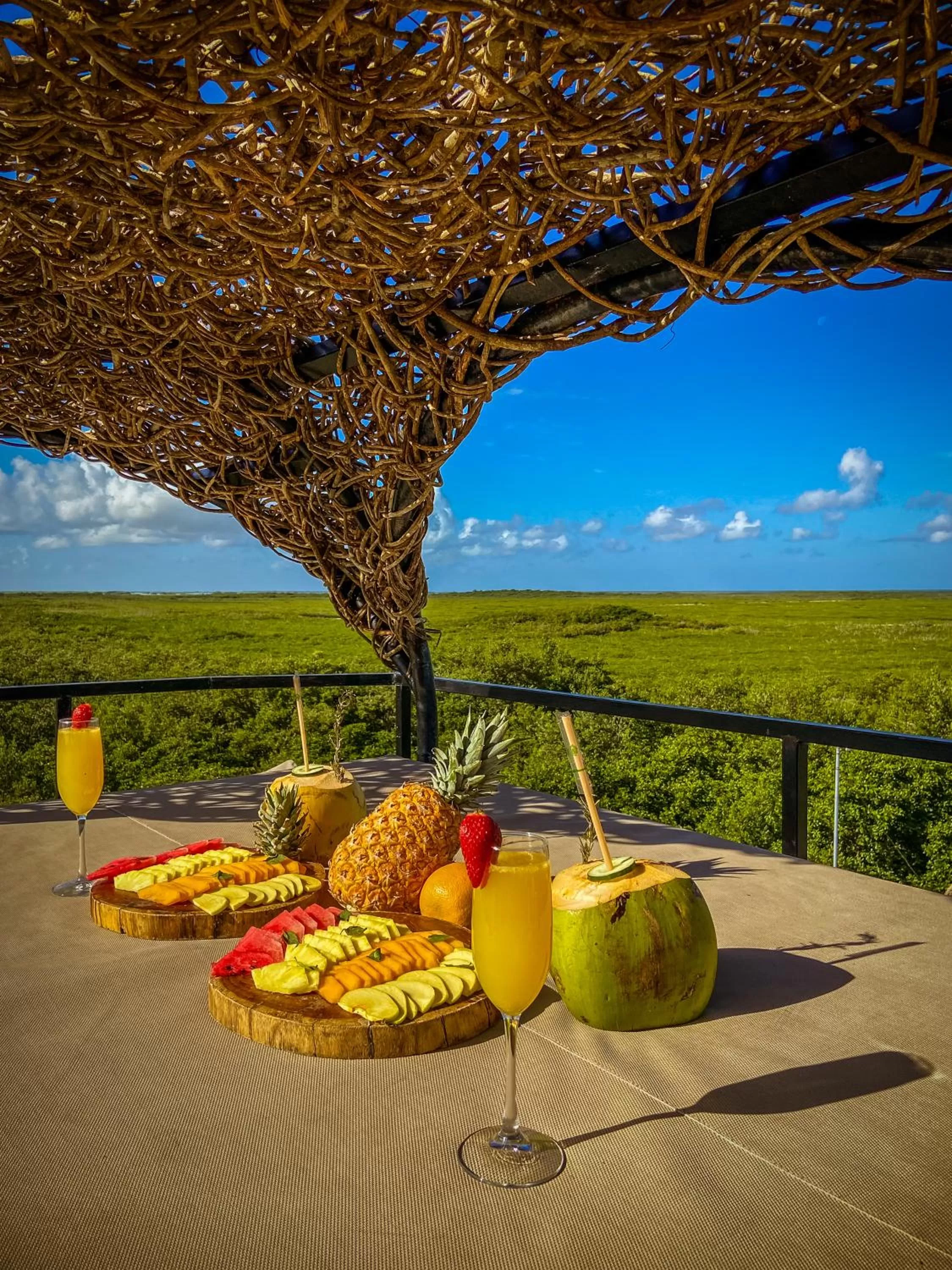 Natural landscape in Suites Tulum